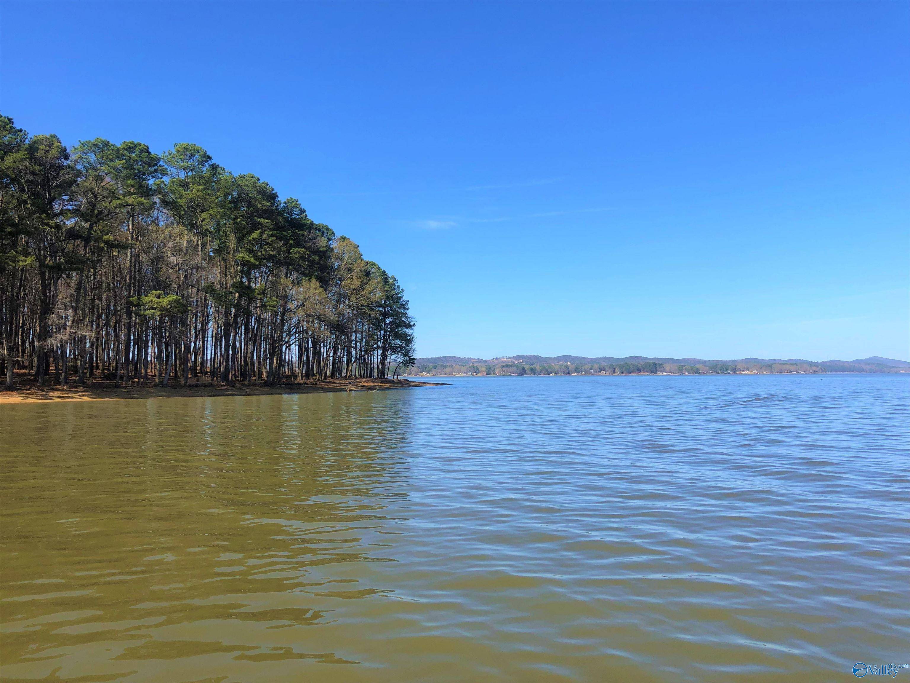 Cedar Bluff, AL 35959,Lot 13 Little River Landing