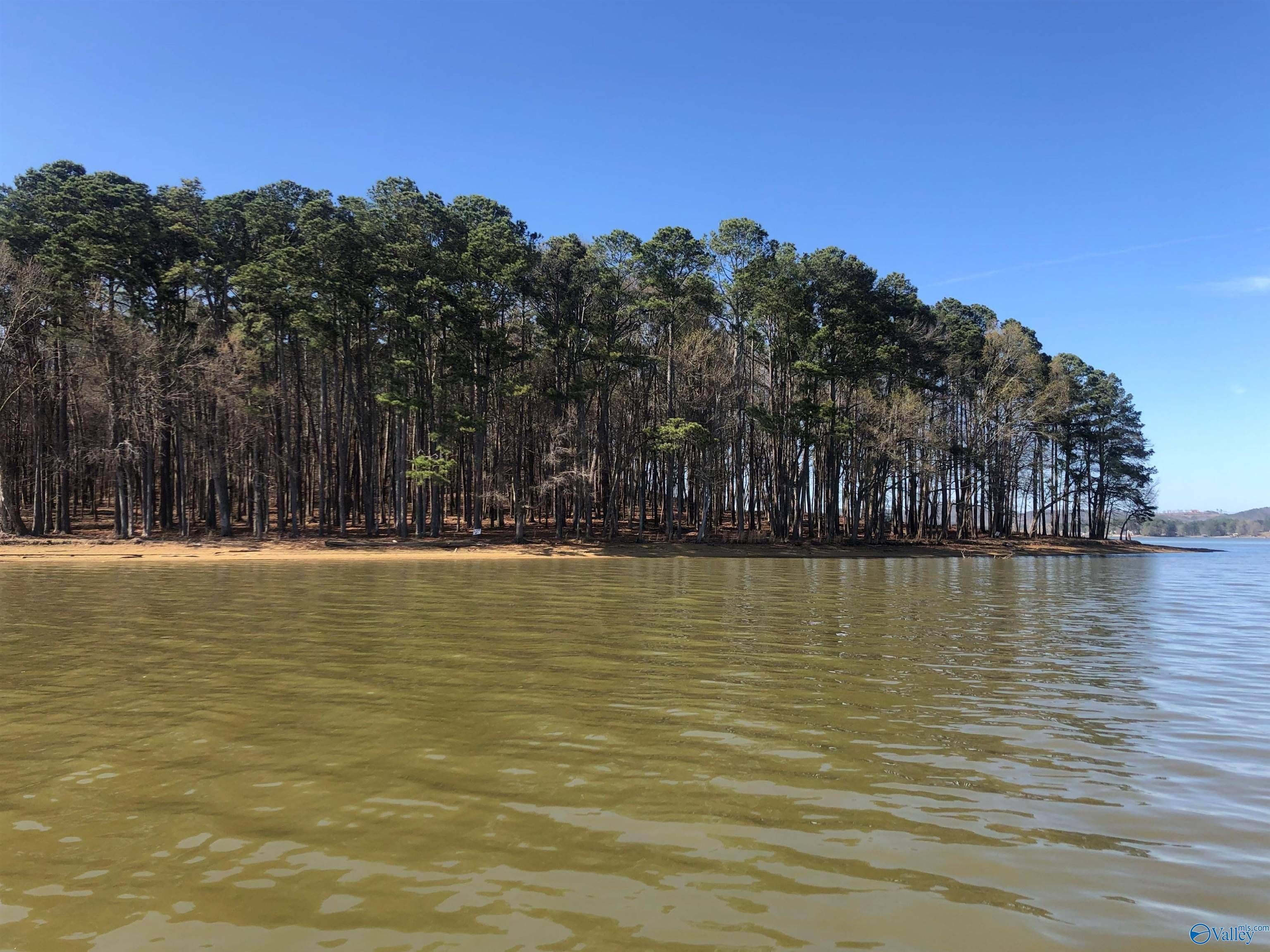 Cedar Bluff, AL 35959,Lot 18 Little River Landing