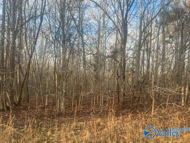 Cedar Bluff, AL 35959,3 +/-Acres County Road 137