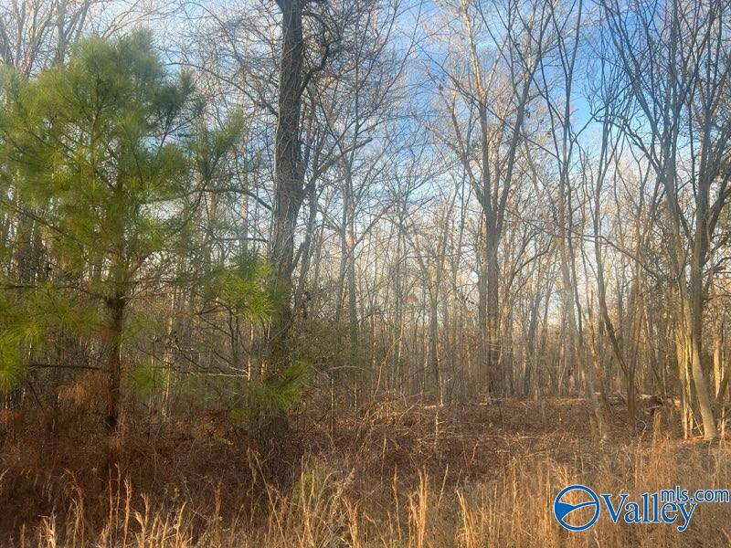 Cedar Bluff, AL 35959,3 +/-Acres County Road 137