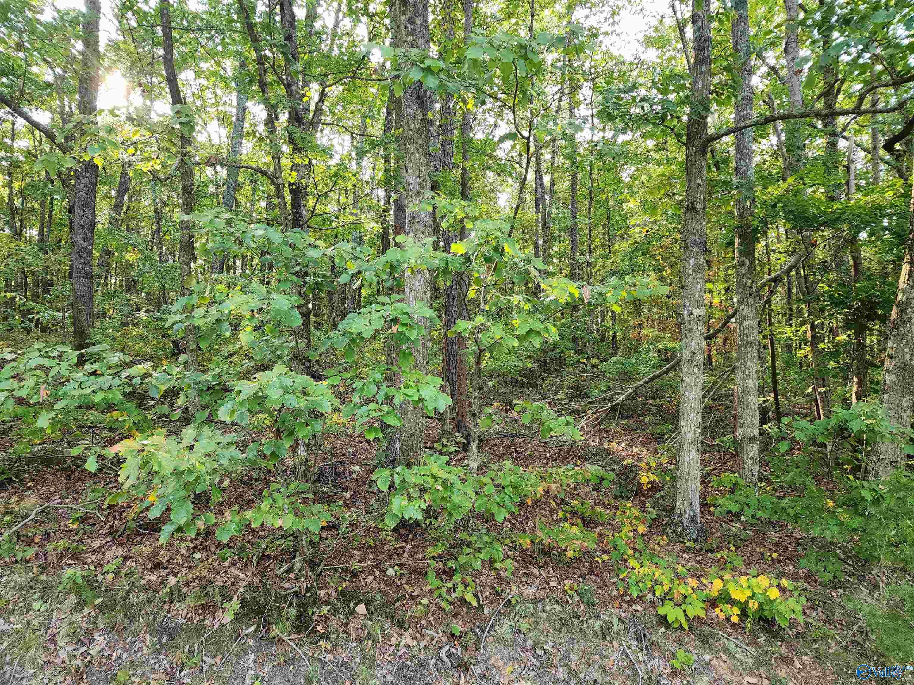 Flat Rock, AL 35966,3.72 Acres County Road 14