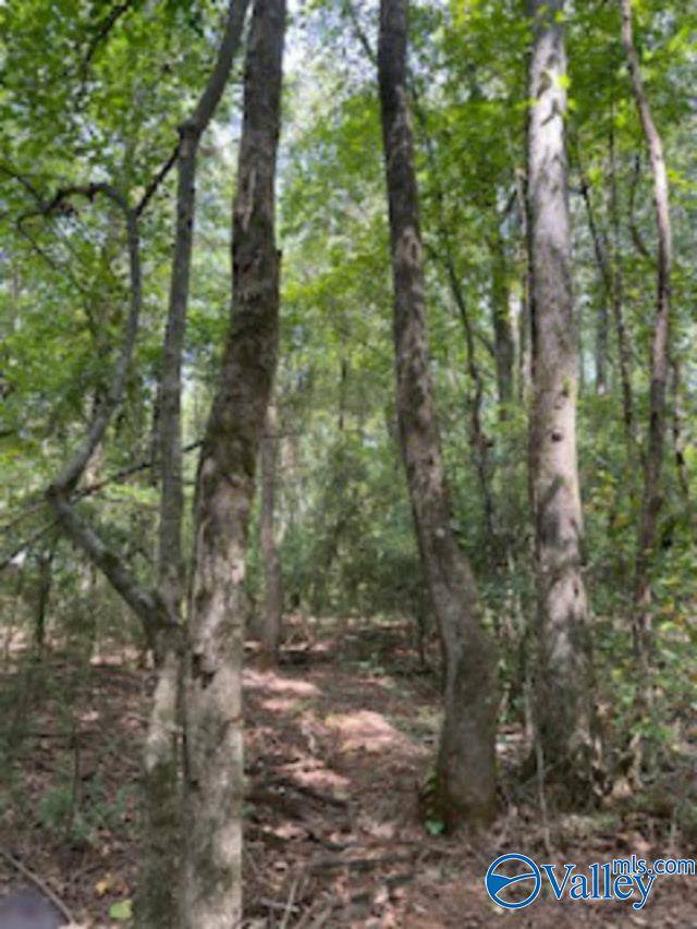 New Market, AL 35751,5.9 Acres Joe Quick Road