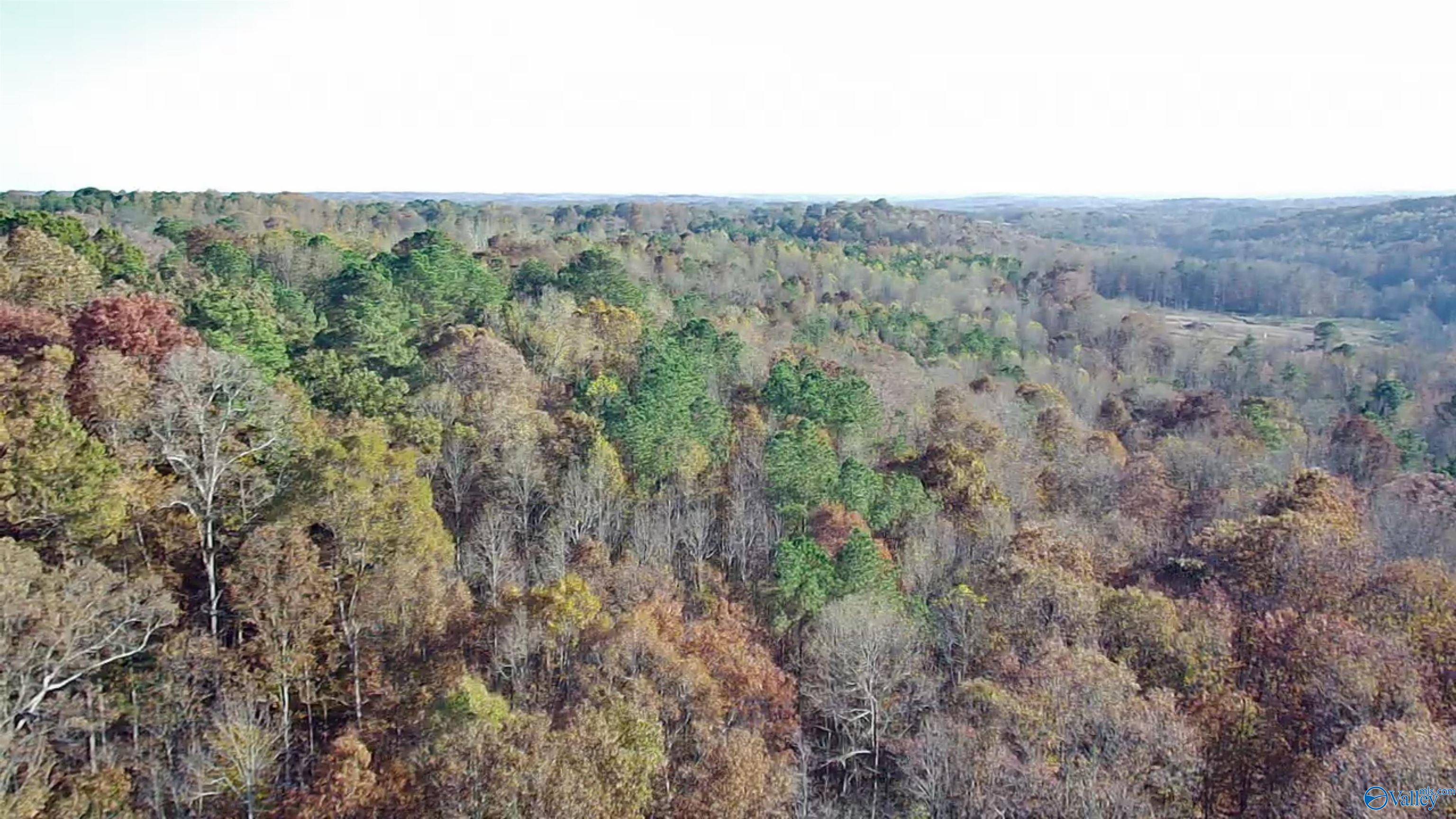 Vinemont, AL 35179,10 AC County Road 1209