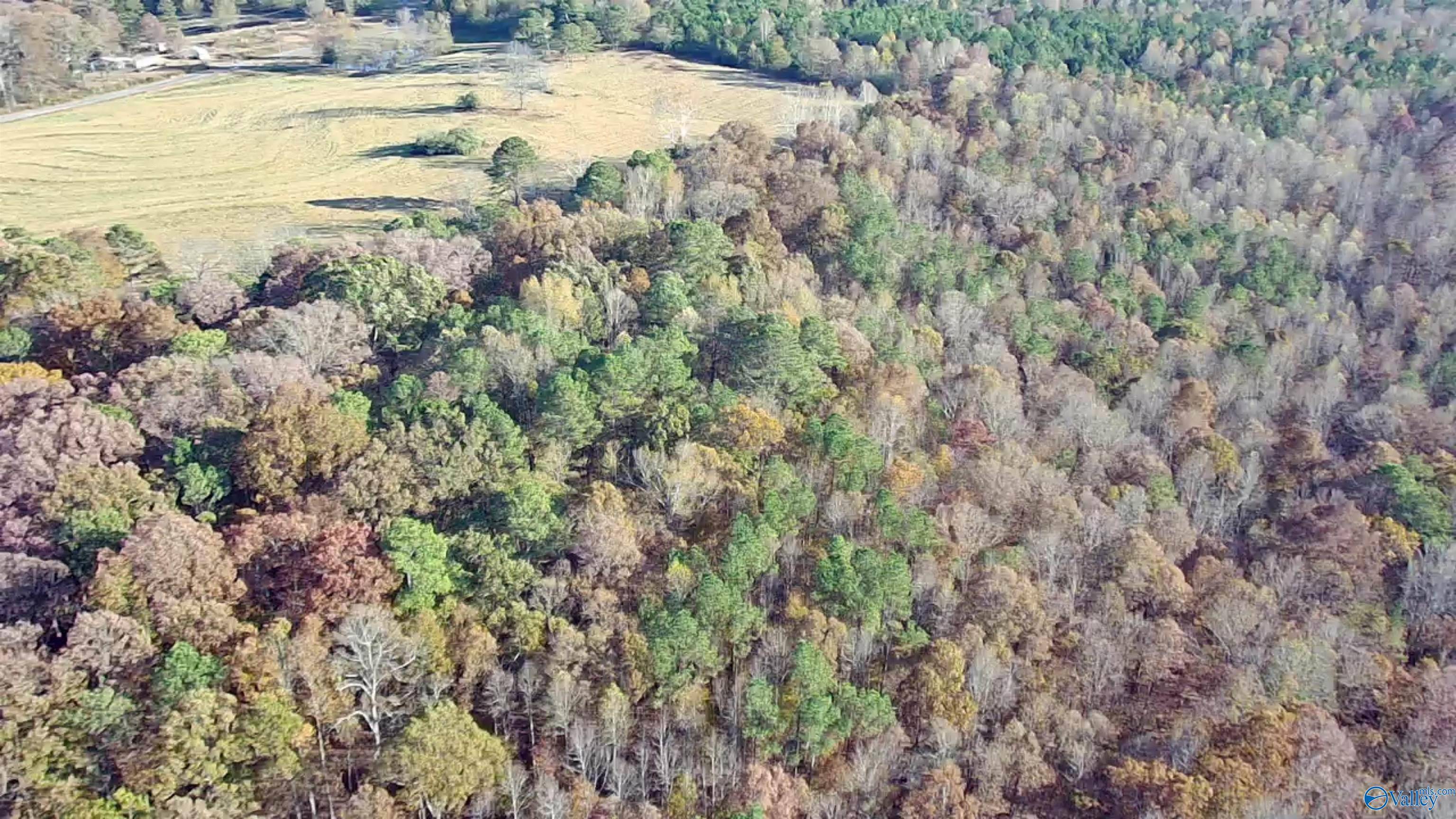 Vinemont, AL 35179,10 AC County Road 1209