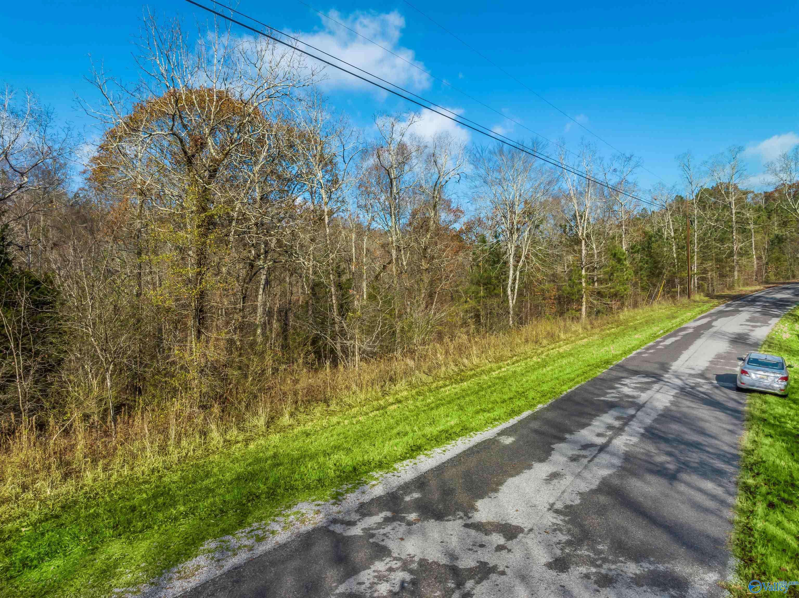 Crane Hill, AL 35053,1836 County Road 870