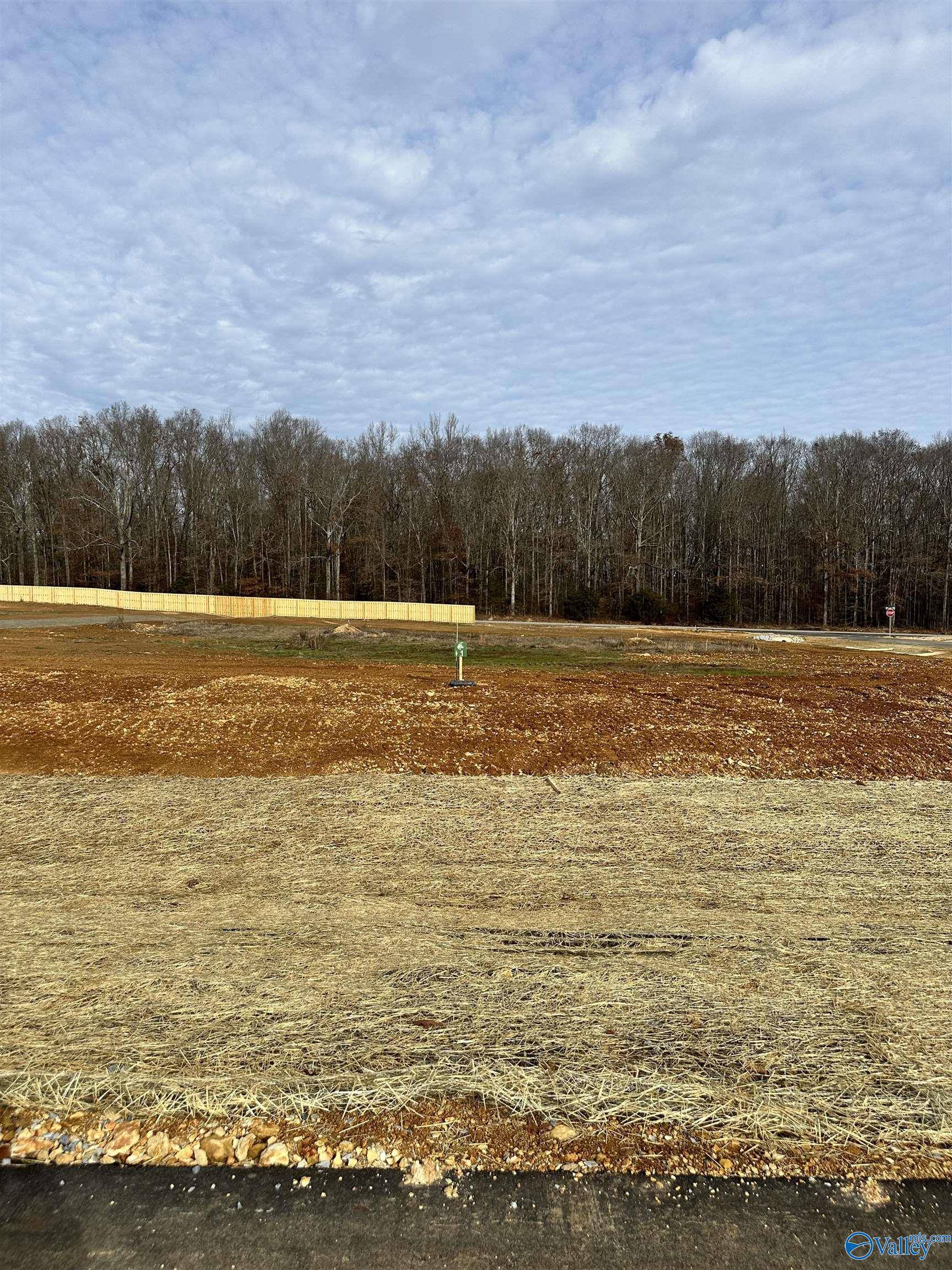 Athens, AL 35613,Lot 1 Saban Lane