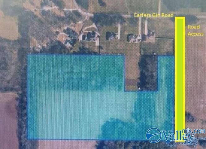 Toney, AL 35773,19 acres Carters Gin Road