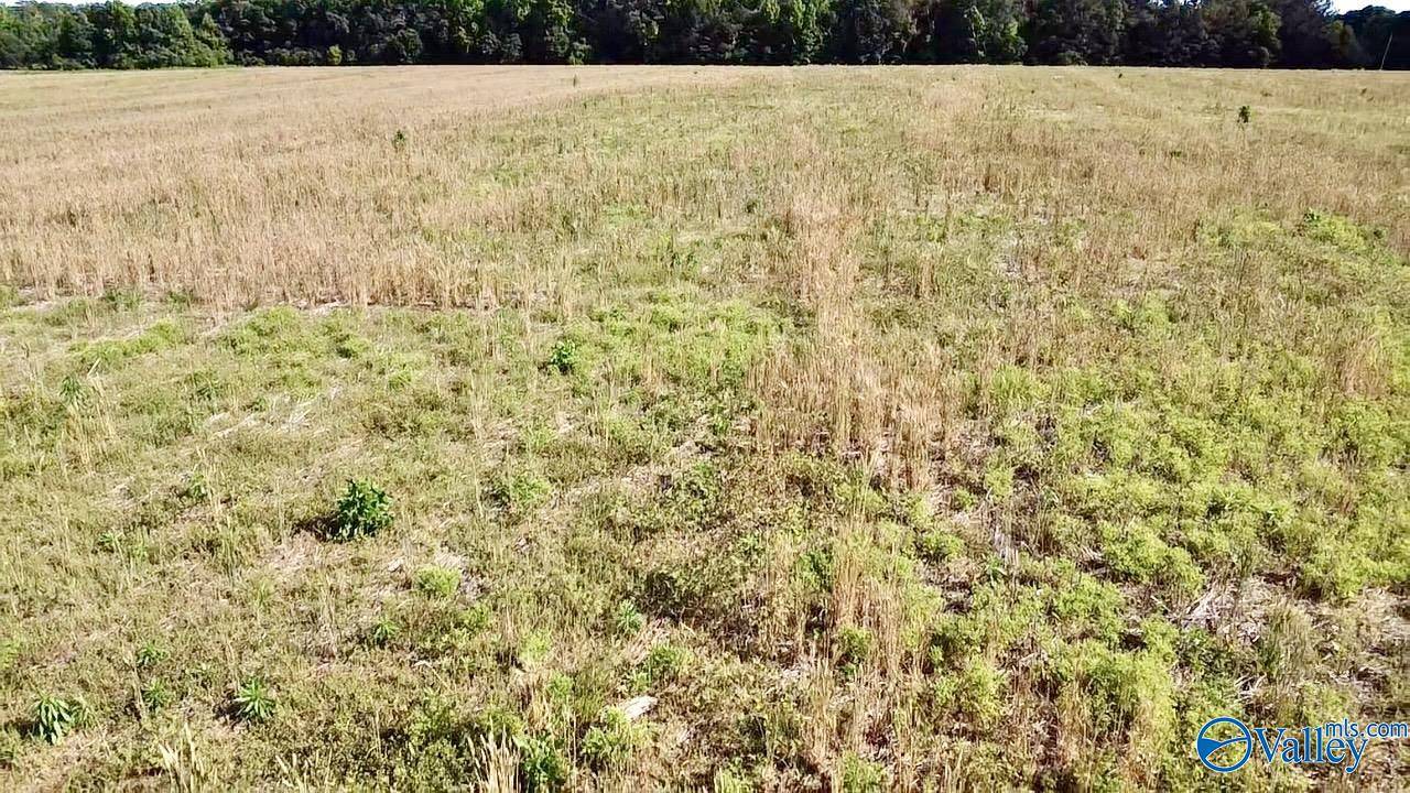 Hazel Green, AL 35750,Lot 5 Scott Road