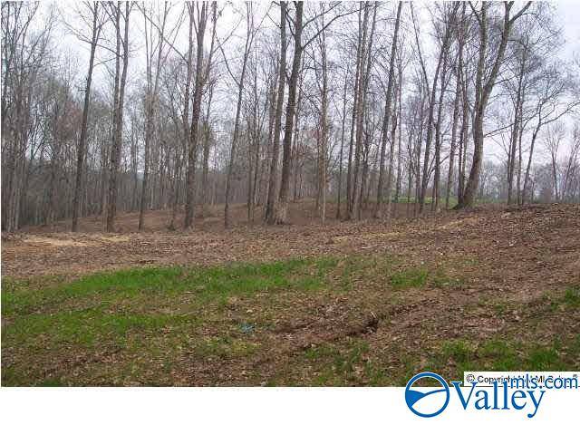 Boaz, AL 35957,35 AC Ellis Road