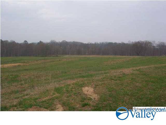 Boaz, AL 35957,35 AC Ellis Road