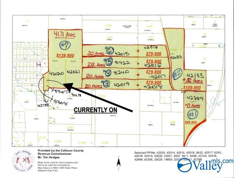 Jacksonville, AL 36265,#7 42 Acres Dorothy Drive
