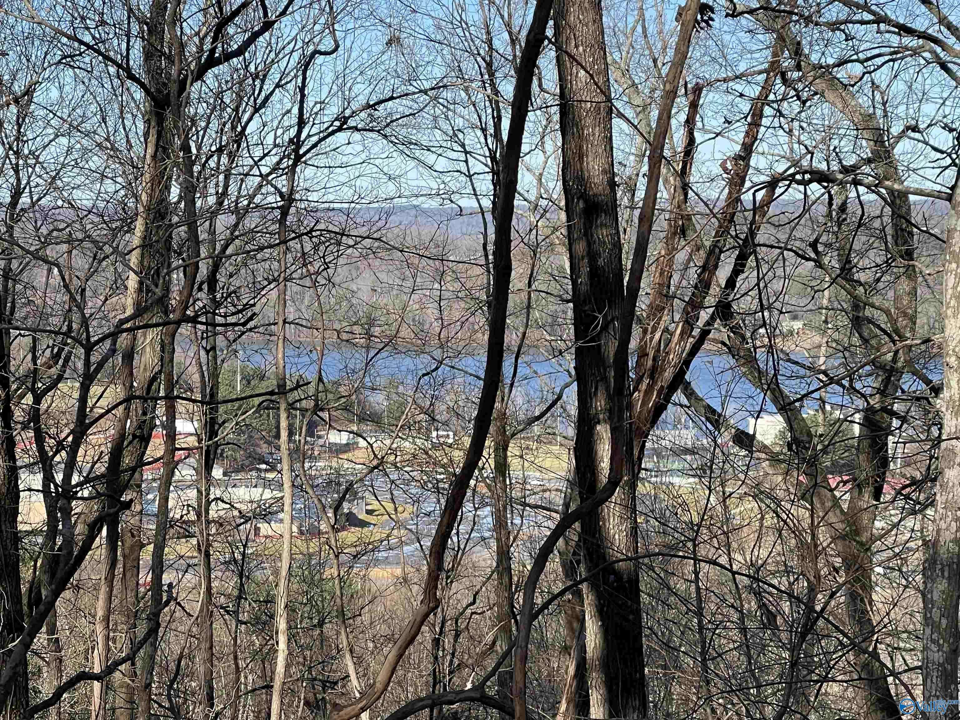 Guntersville, AL 35976,14 AC Jackson Trail