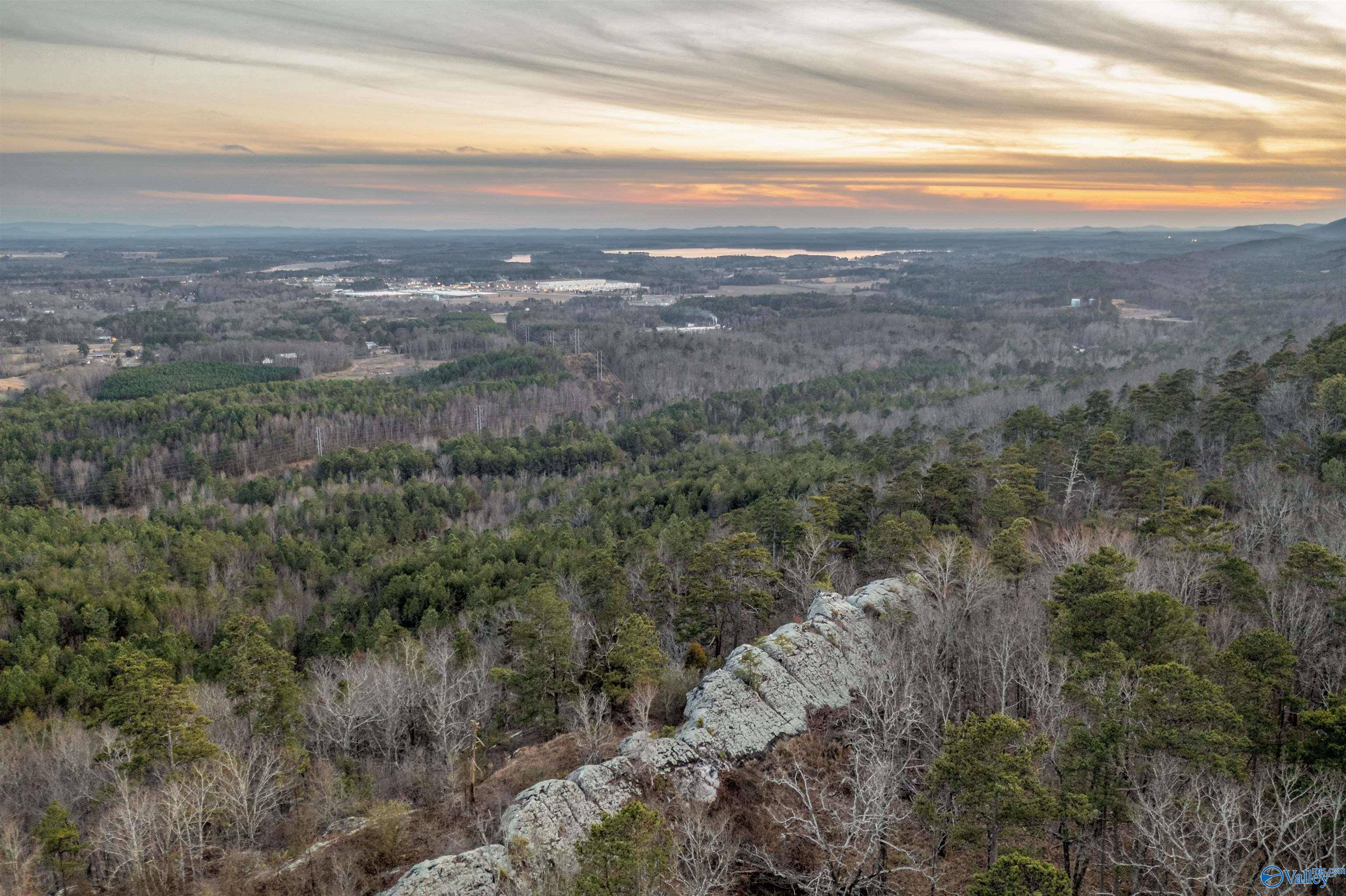 Leesburg, AL 35983,LOT 81 Mauney Lane