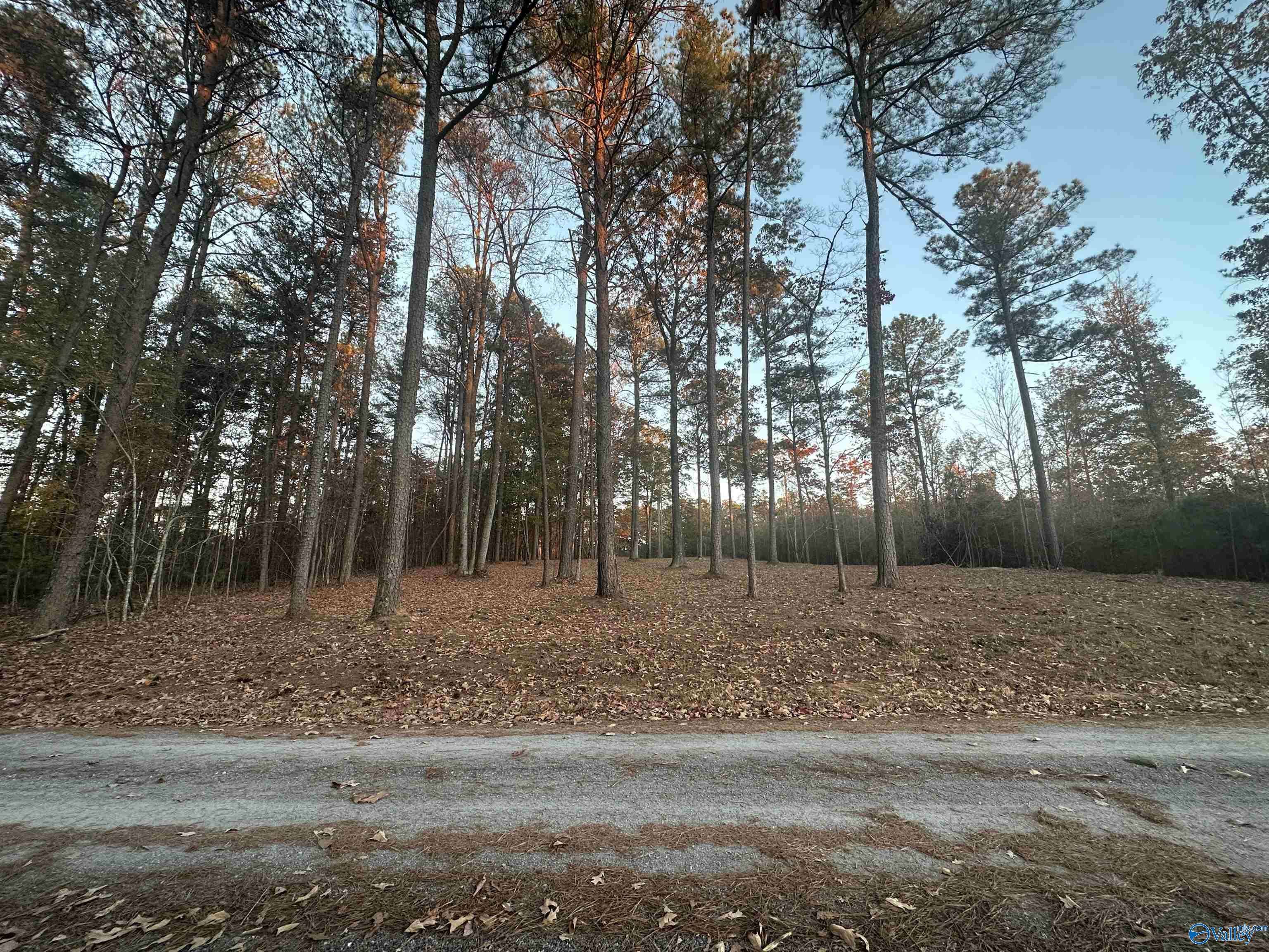 Mentone, AL 35984,Lot 46 County Road 103