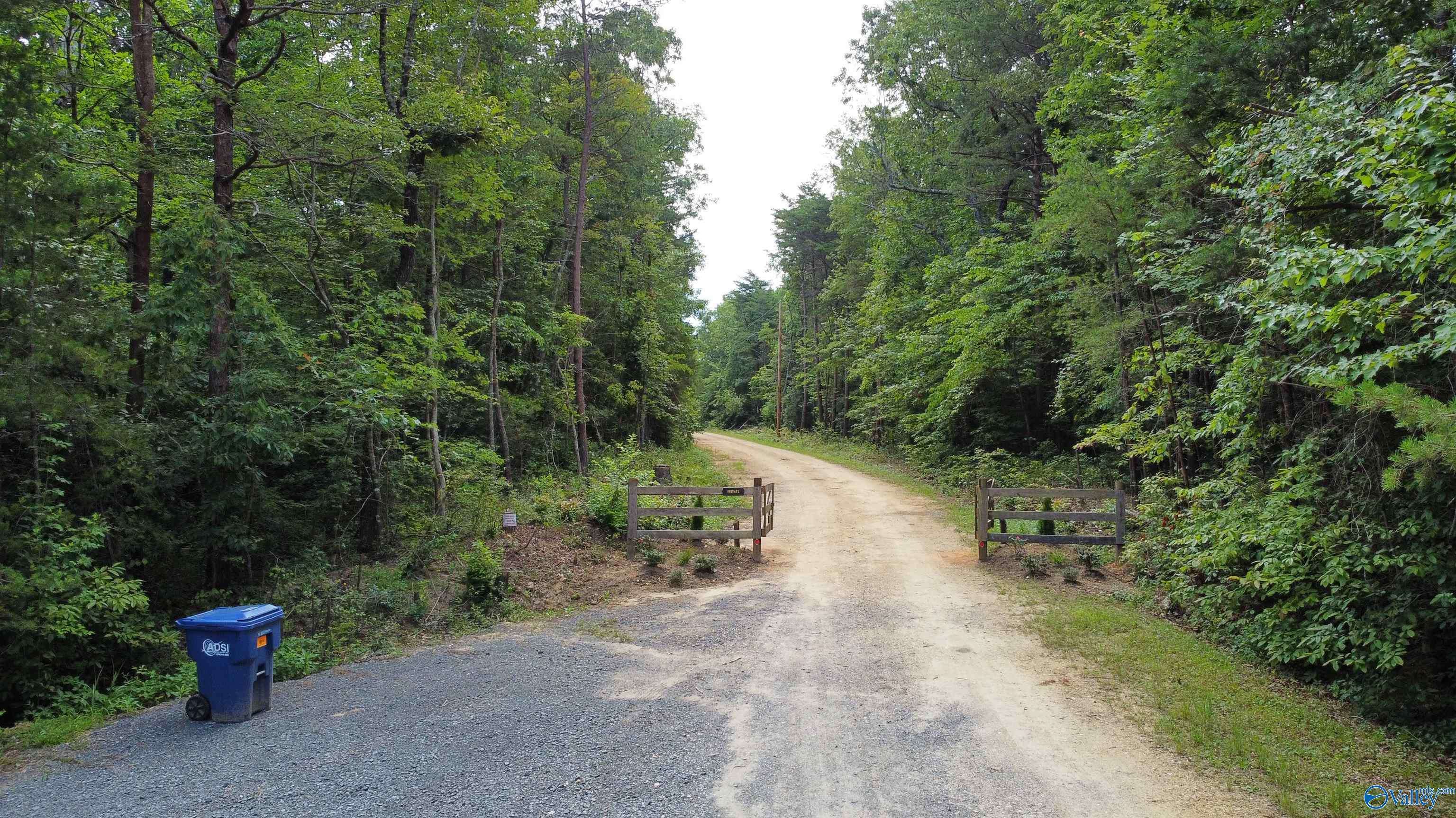 Mentone, AL 35984,Lot 52 County Road 648