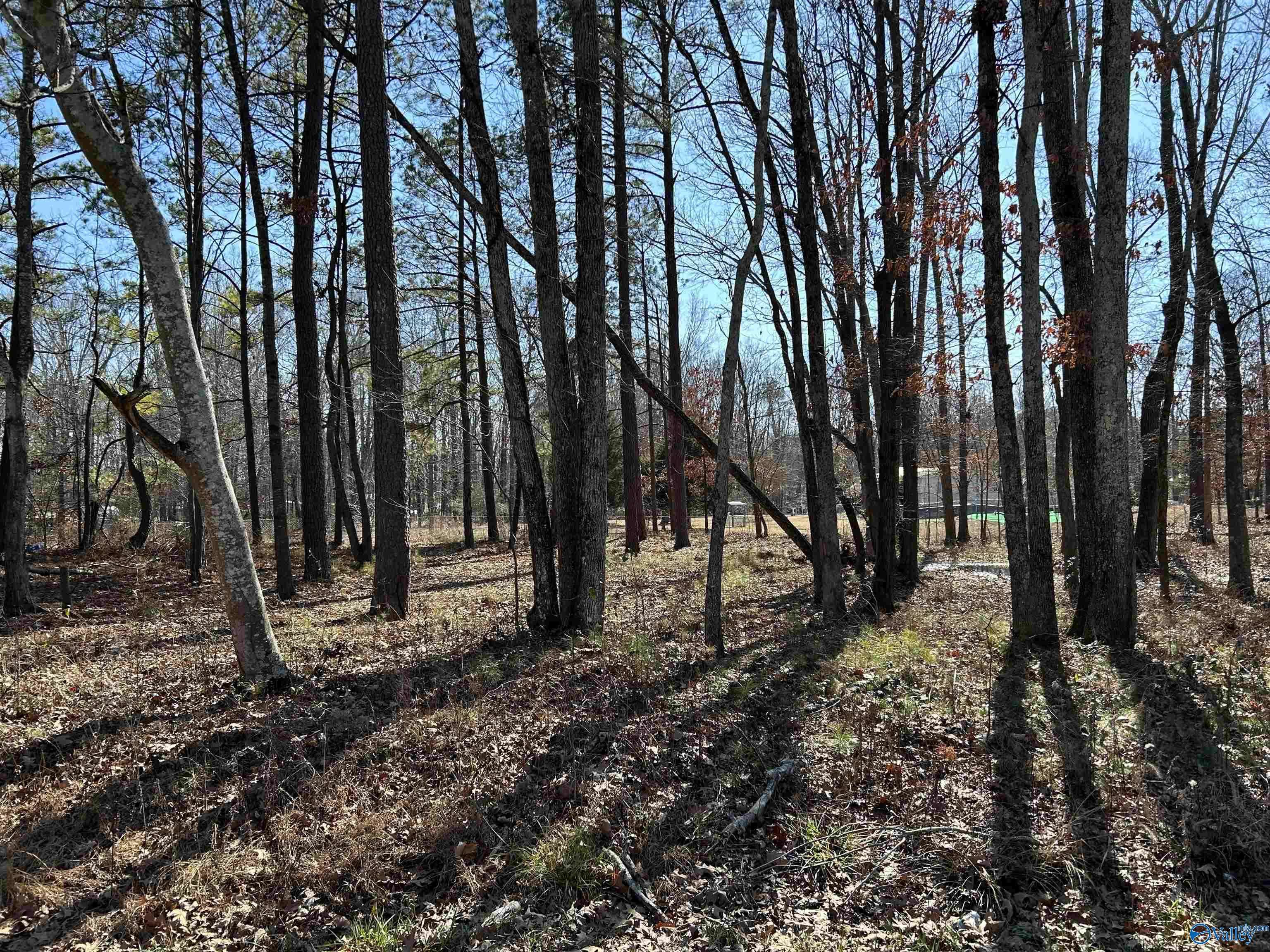 Cedar Bluff, AL 35959,Lot 126 Hidden Cove Road