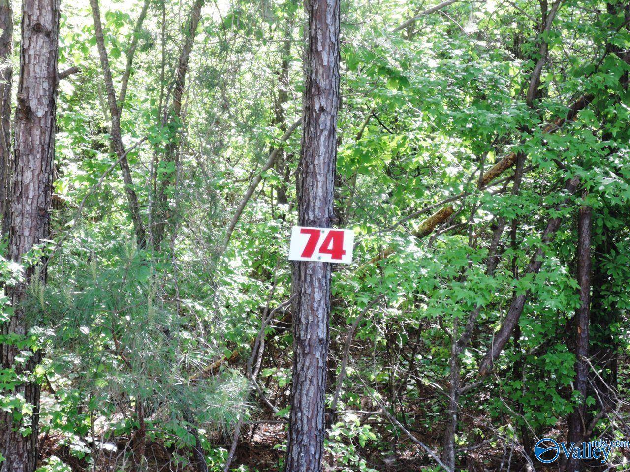Jasper, AL 35504,74 Harbor Lights Trail