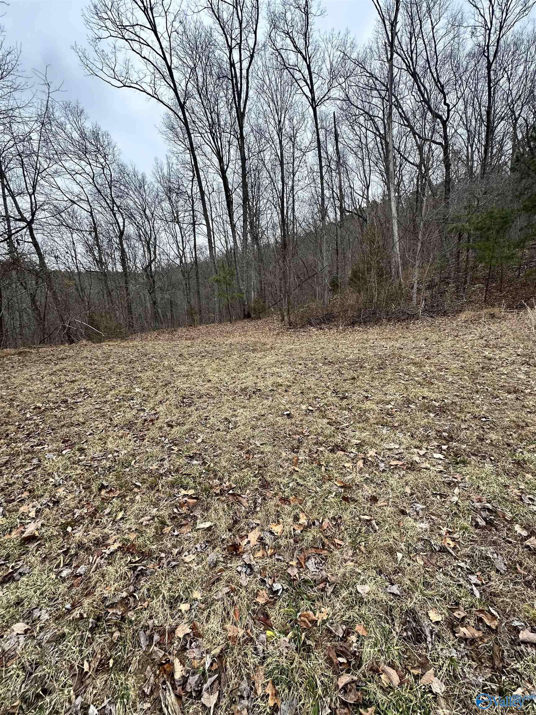 Gurley, AL 35748,Lot 3 Blowing Cave Road