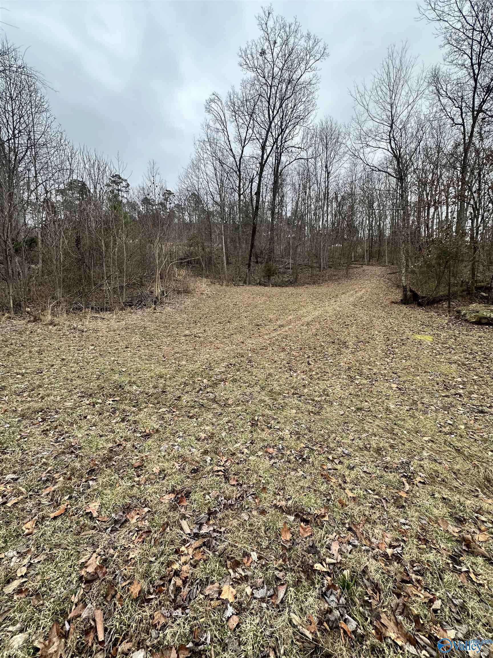 Gurley, AL 35748,Lot 3 Blowing Cave Road