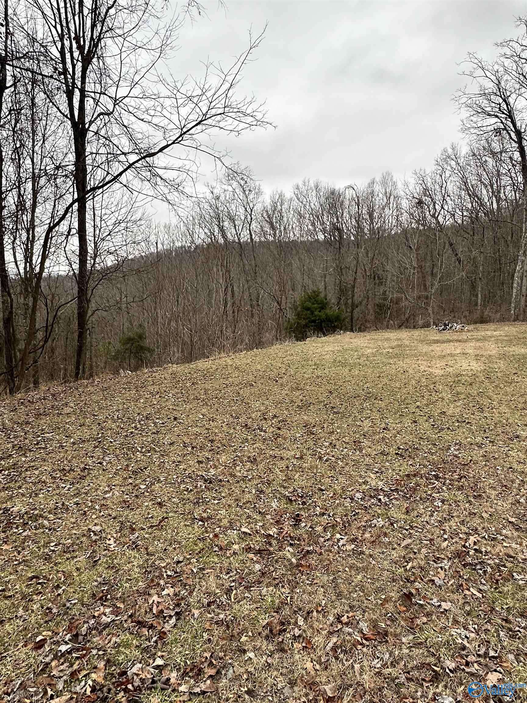 Gurley, AL 35748,Lot 3 Blowing Cave Road