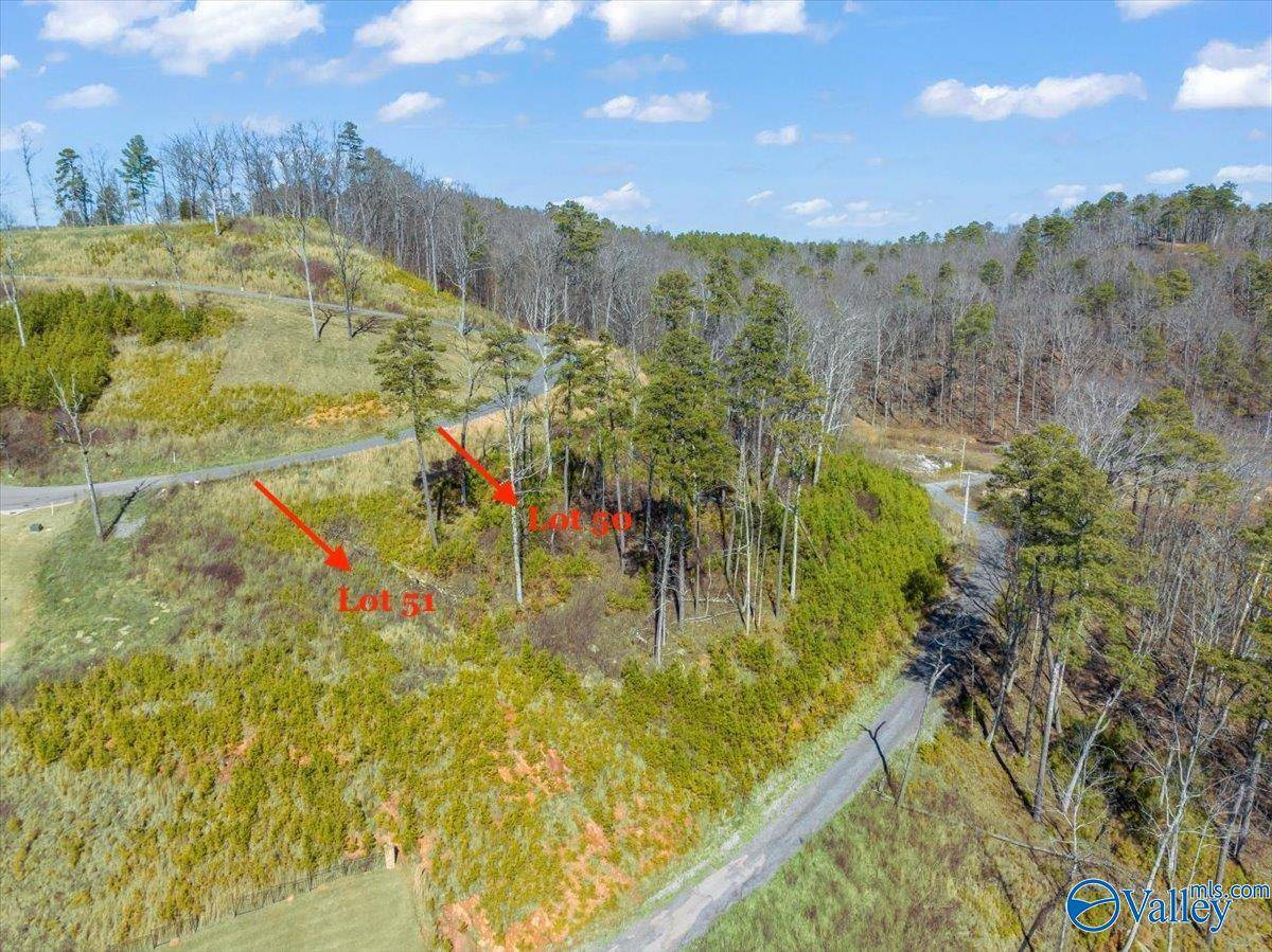 Guntersville, AL 35976,Lot 51 Fall Creek Drive