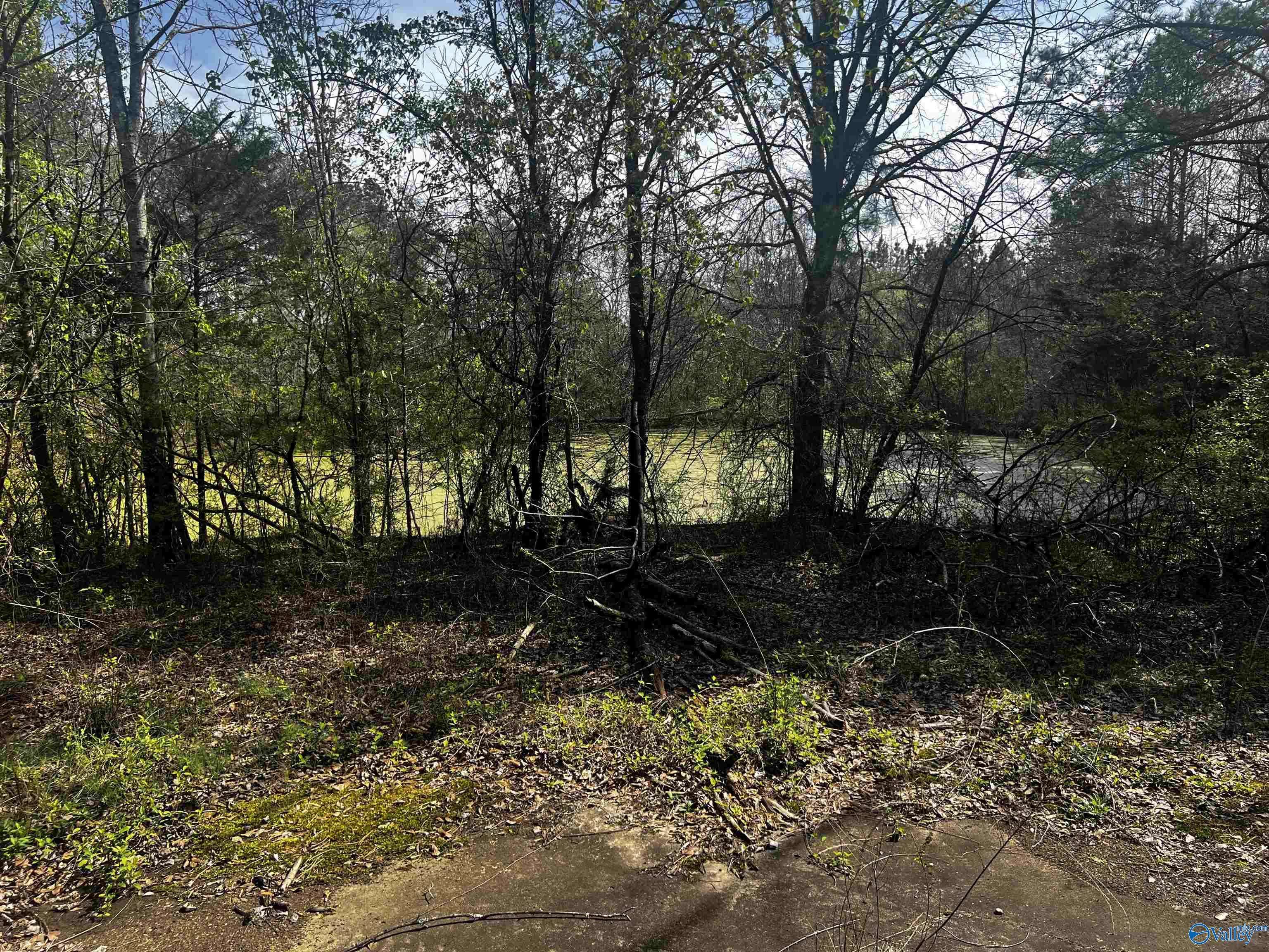 Courtland, AL 35618,22 Acres County Road 150