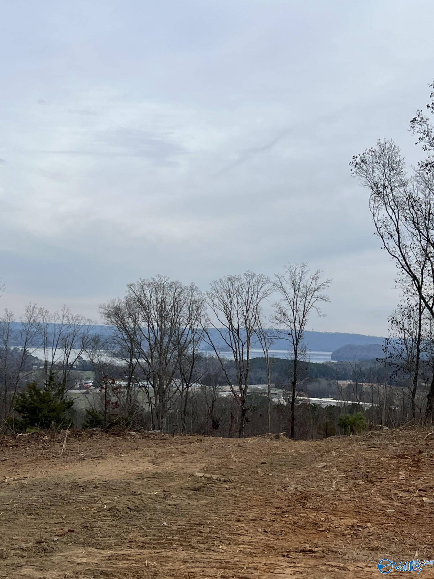 Guntersville, AL 35976,230 Acres Tara Road