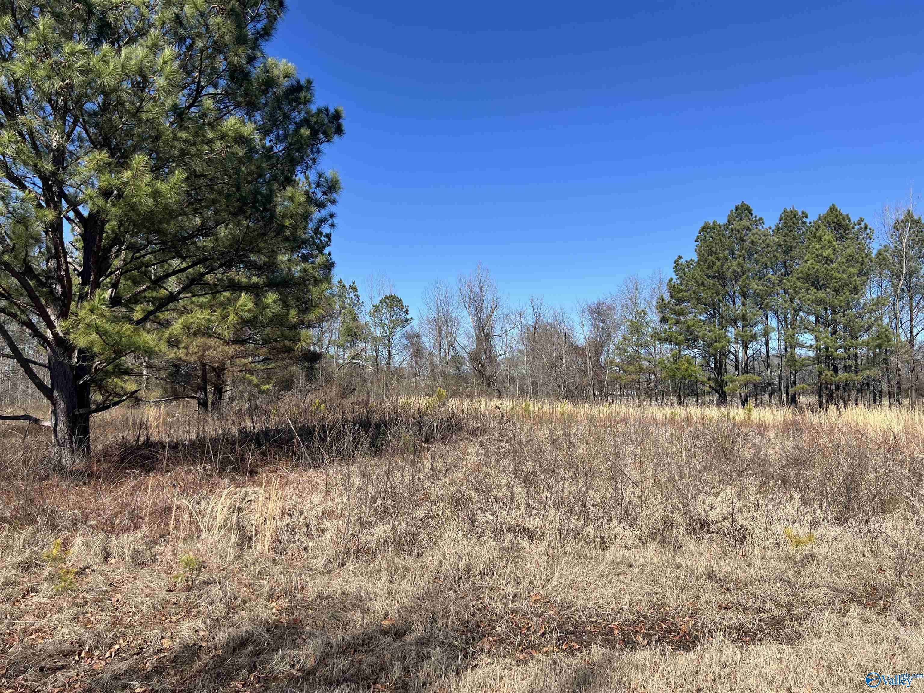 Moulton, AL 35650,LOT 25 County Road 487