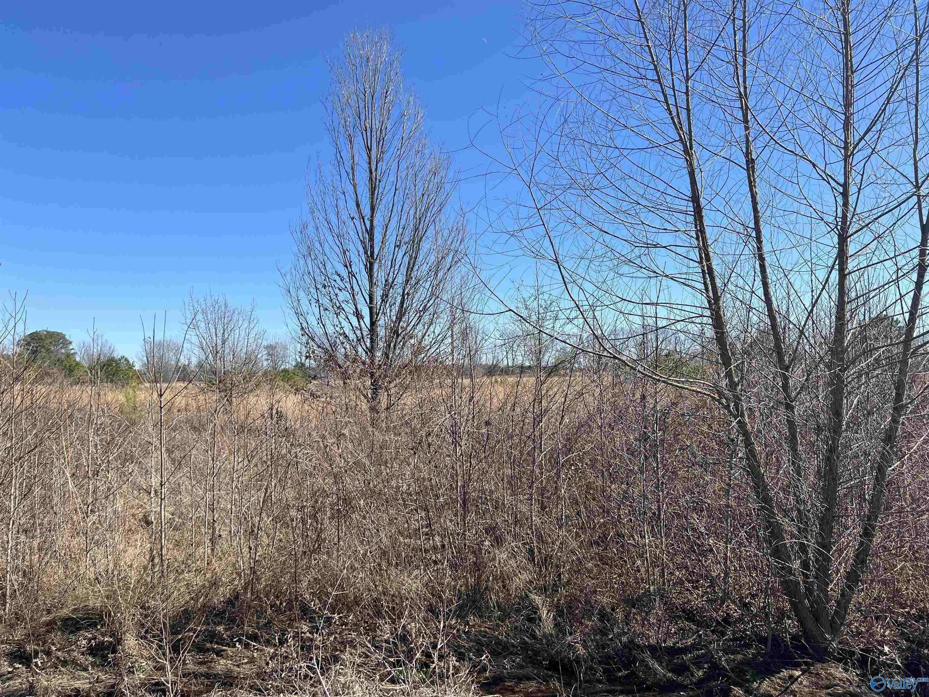 Moulton, AL 35650,LOT 10 County Road 487