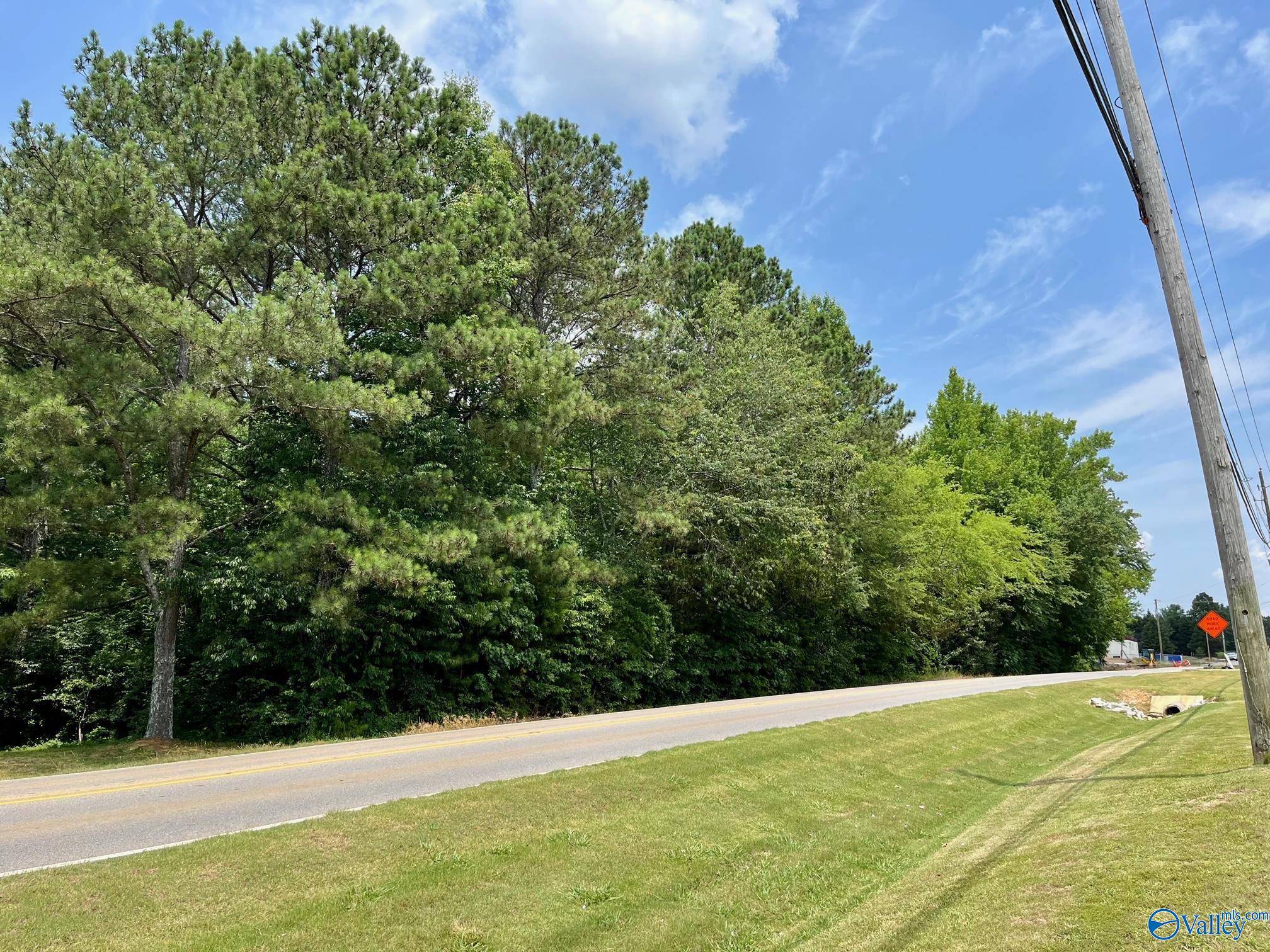 Madison, AL 35757,3.4 Acre Balch Road