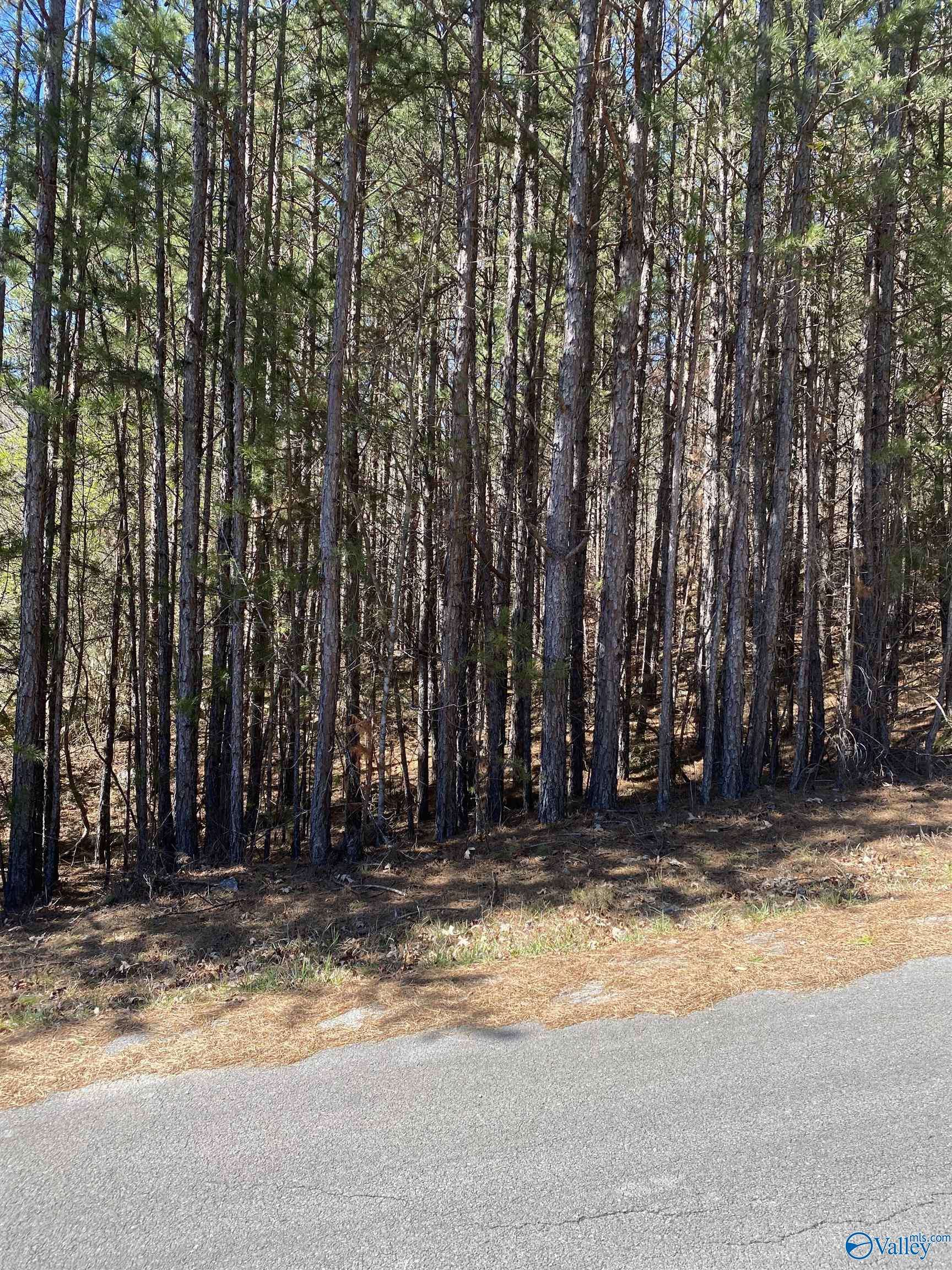 Fort Payne, AL 35968,Lot 4 Blk 2 Alyson Avenue