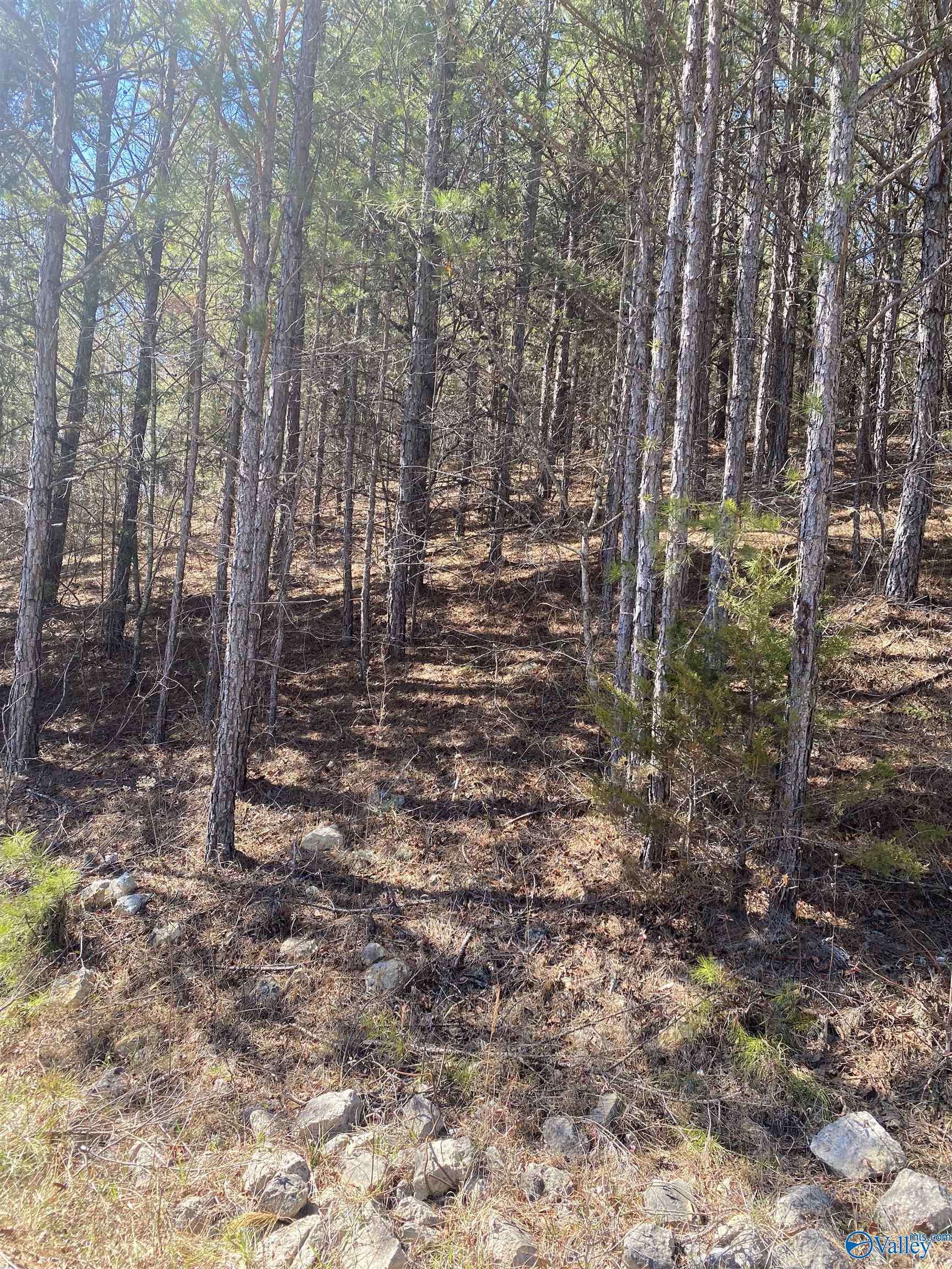 Fort Payne, AL 35968,Lot 3 Blk 2 Alyson Avenue