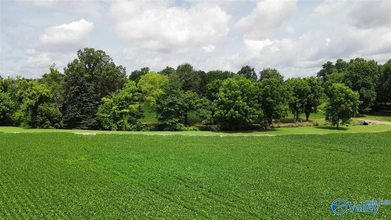 Athens, AL 35671,56.91 Acres Hatchie Lane