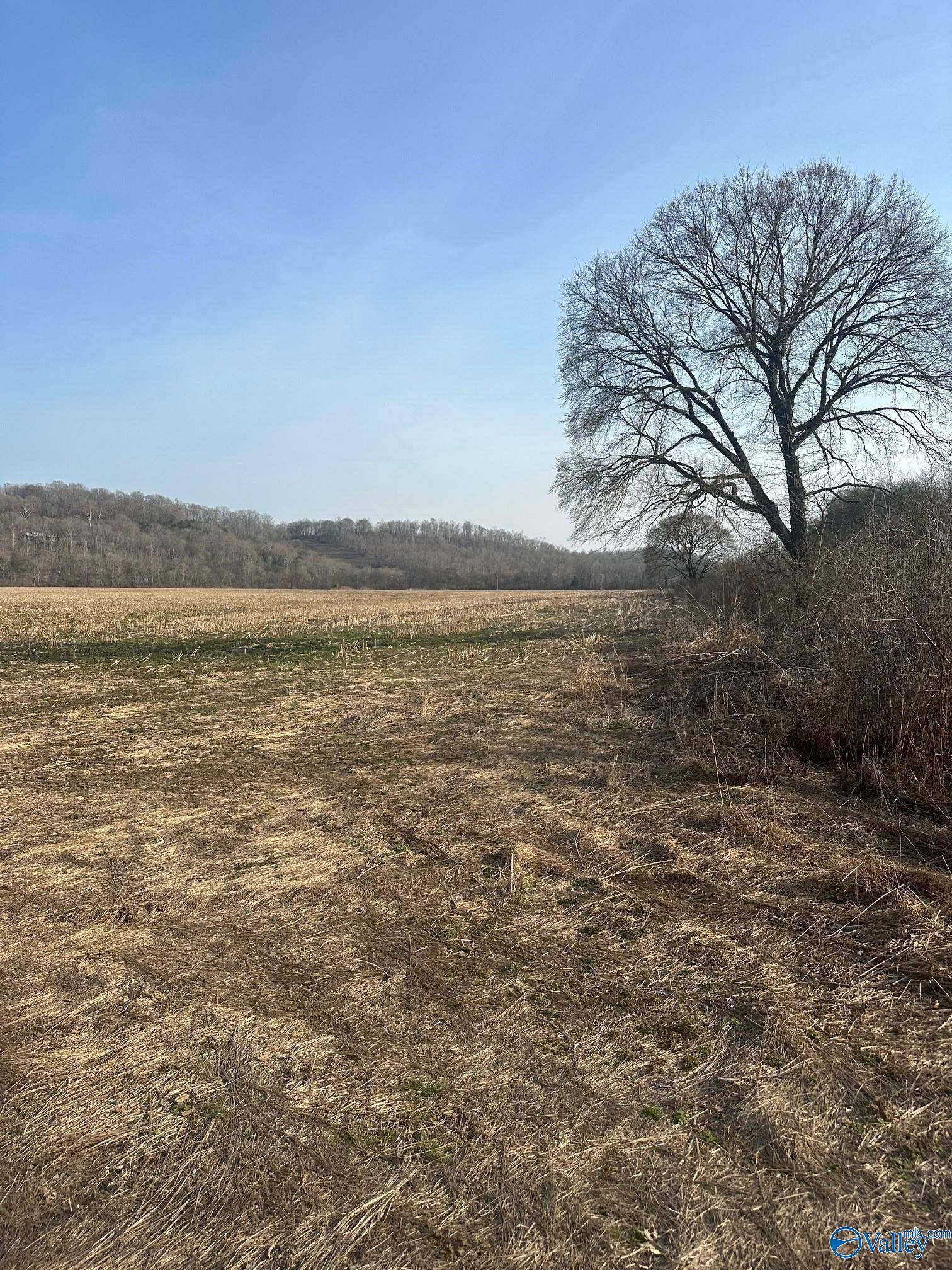 Dellrose, TN 38453,69 acres Dee Solomon Road