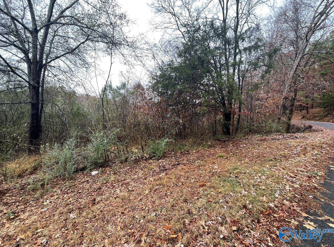 Guntersville, AL 35976,5 acres Bakers Chapel Lane