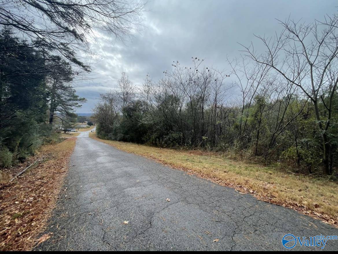 Guntersville, AL 35976,5 acres Bakers Chapel Lane