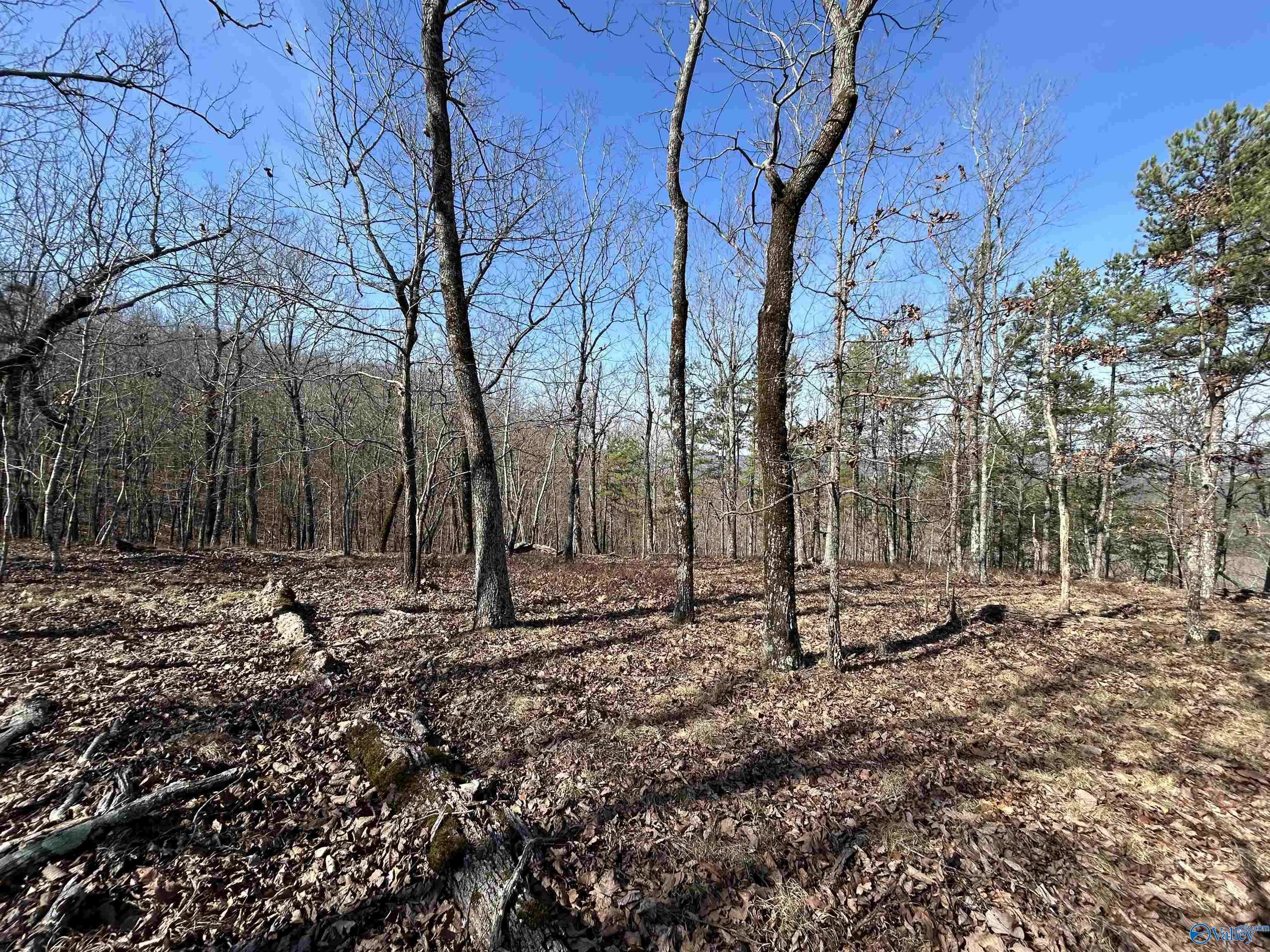 Centre, AL 35960,40 County Road 793