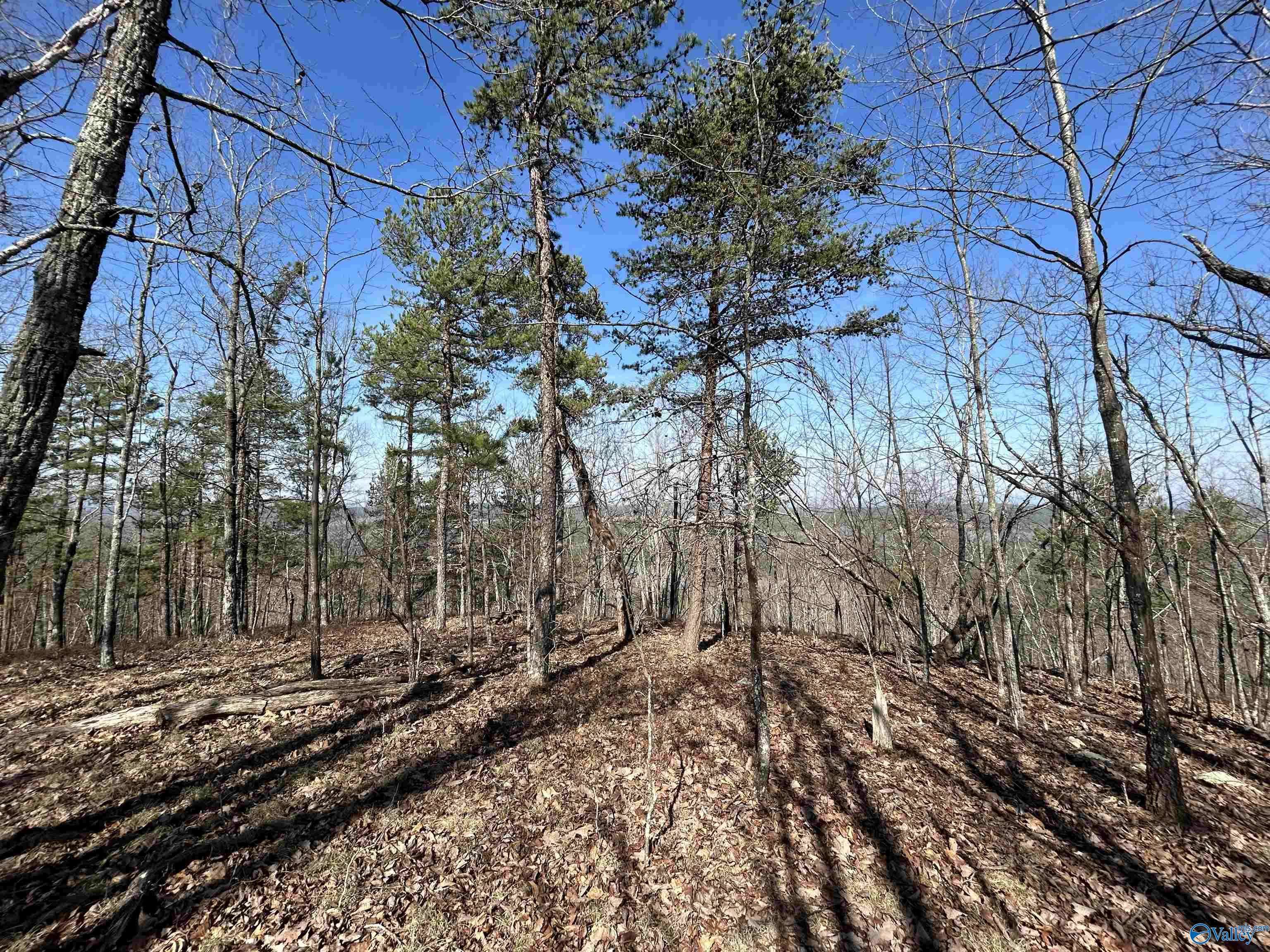 Centre, AL 35960,40 County Road 793