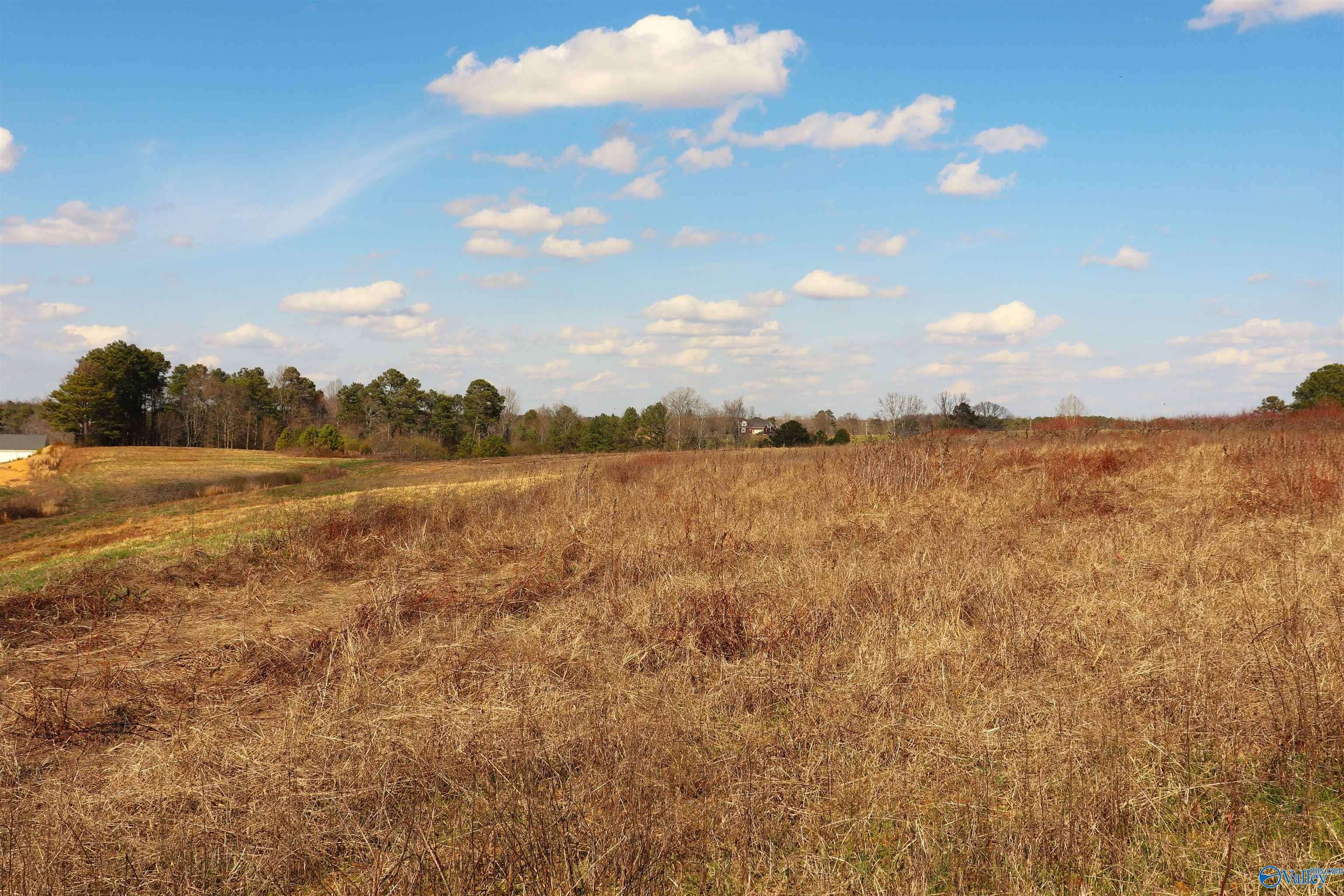 Cullman, AL 35058,9 acres +/- County Road 1464