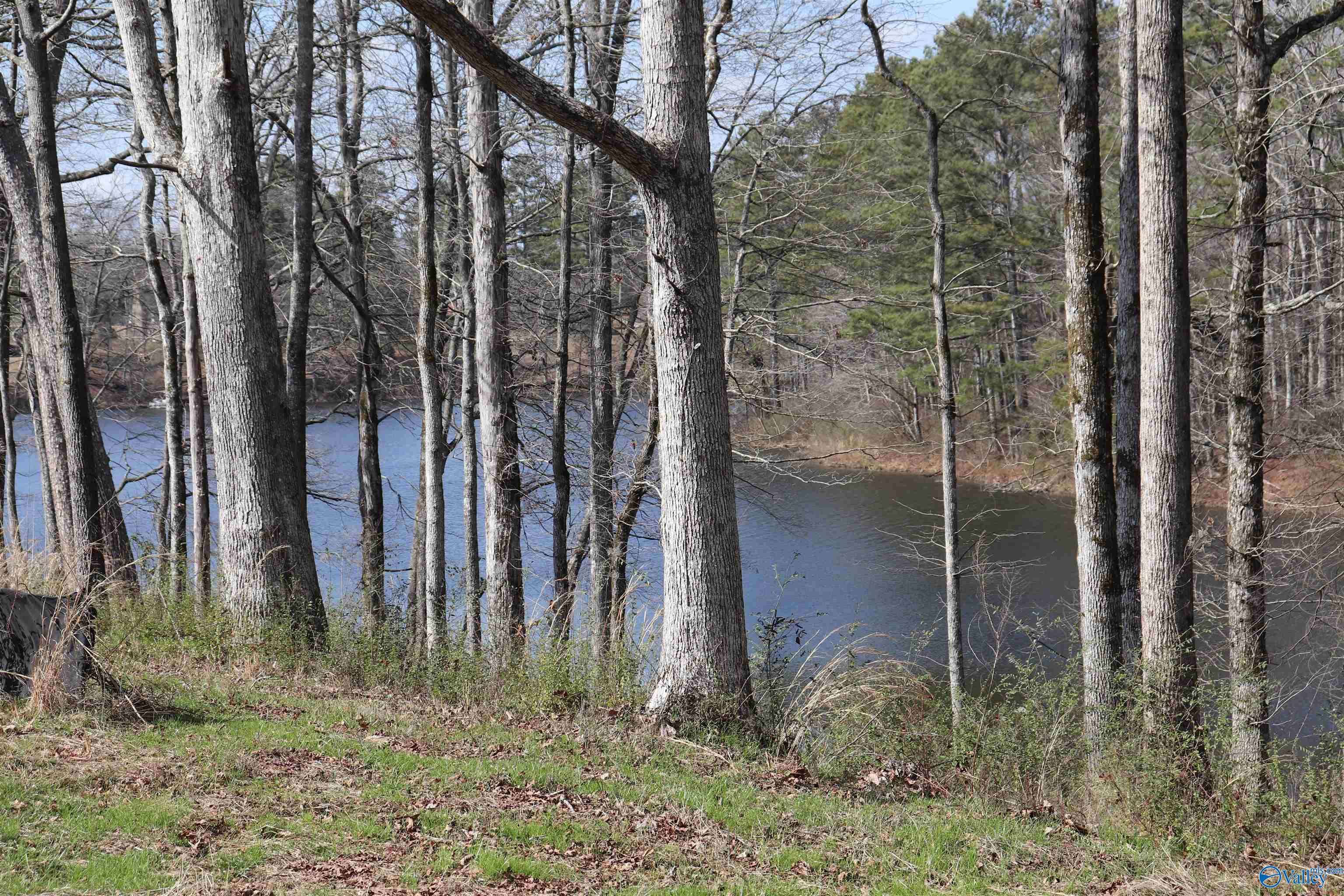 Cullman, AL 35058,9 acres +/- County Road 1464