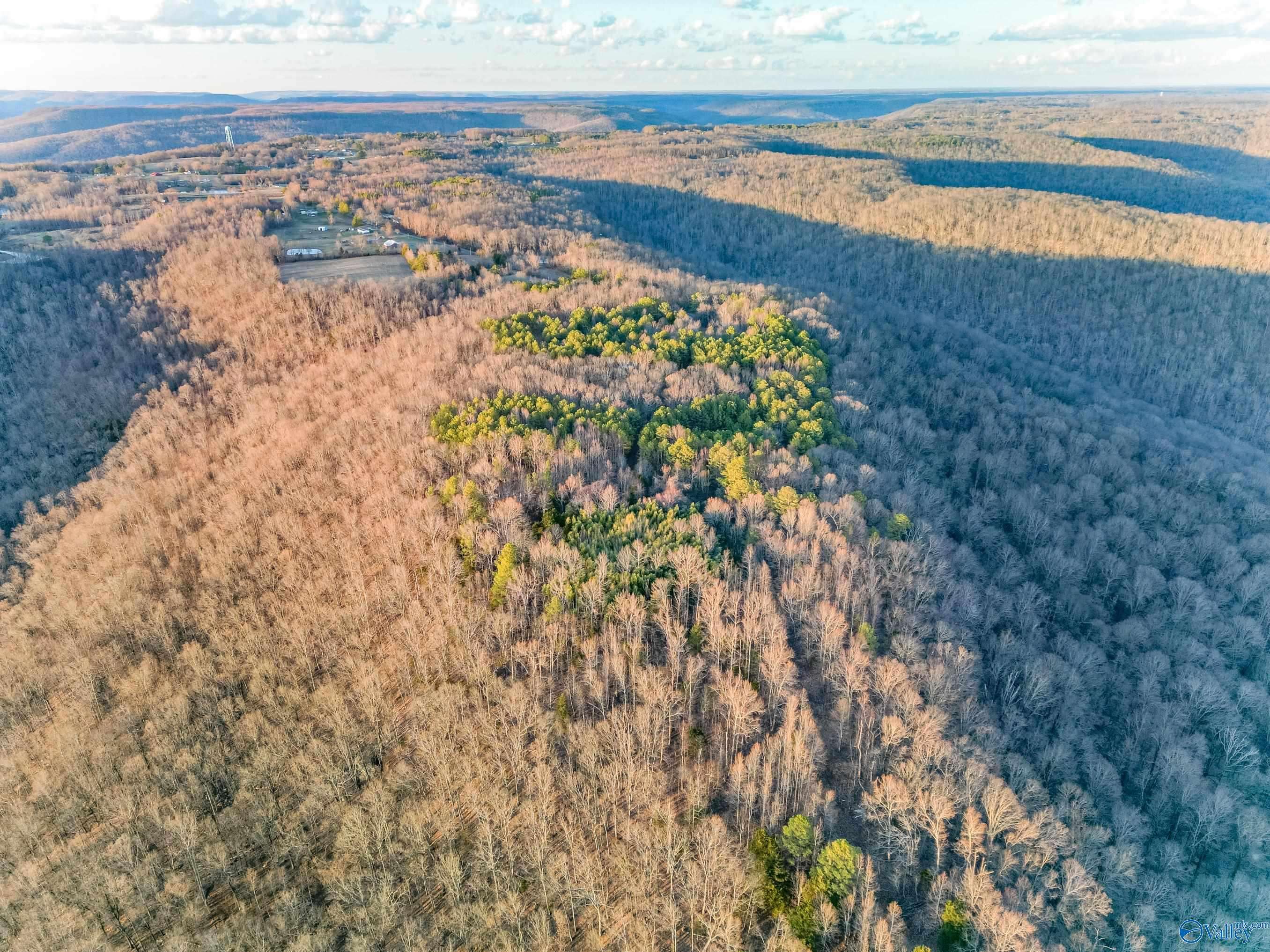 Woodville, AL 35776,1150 Pleasant Grove Road