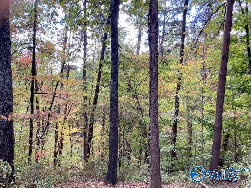 Fort Payne, AL 35967,0.40 8th Street NW