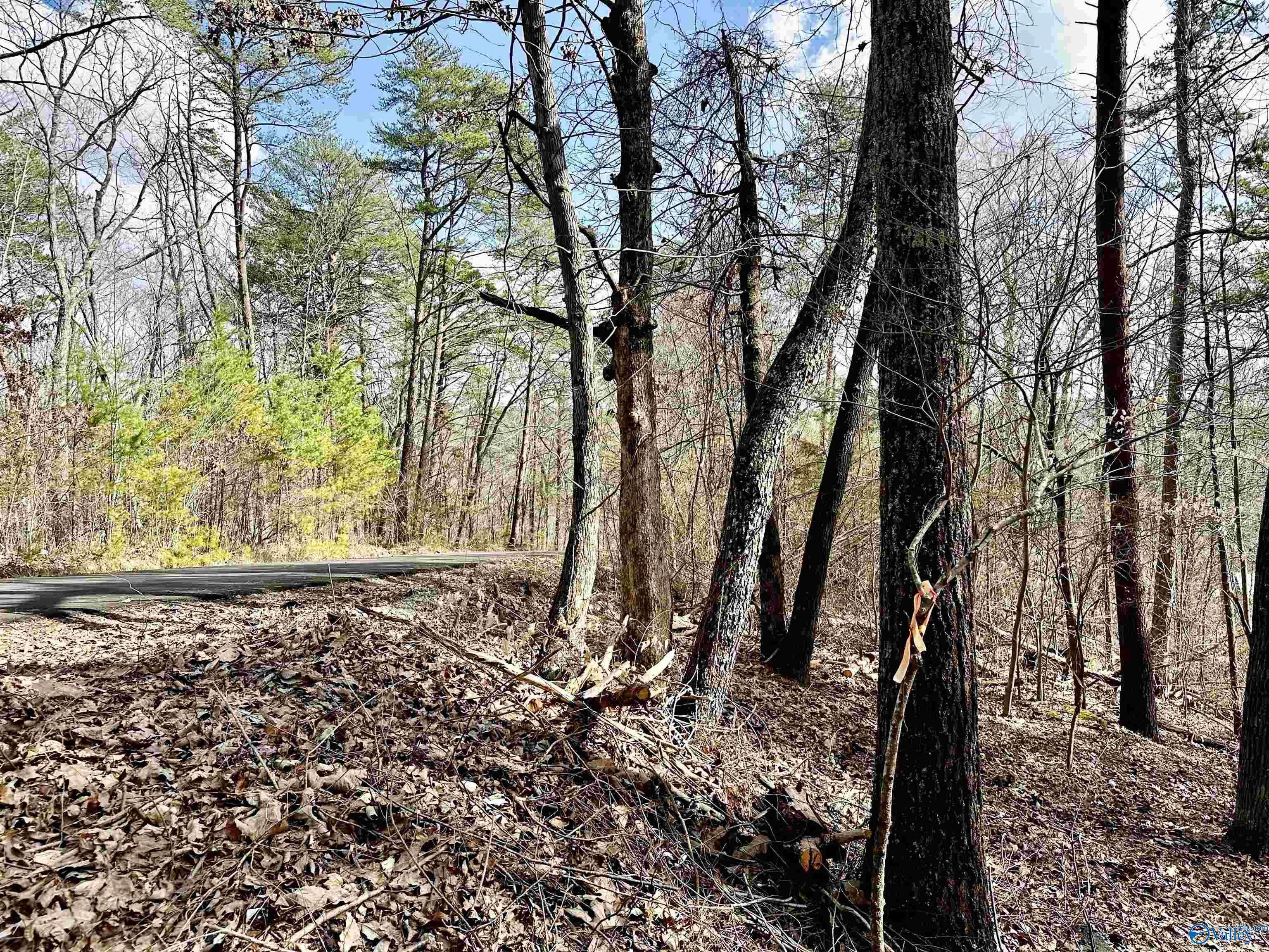 Fort Payne, AL 35967,0.40 8th Street NW