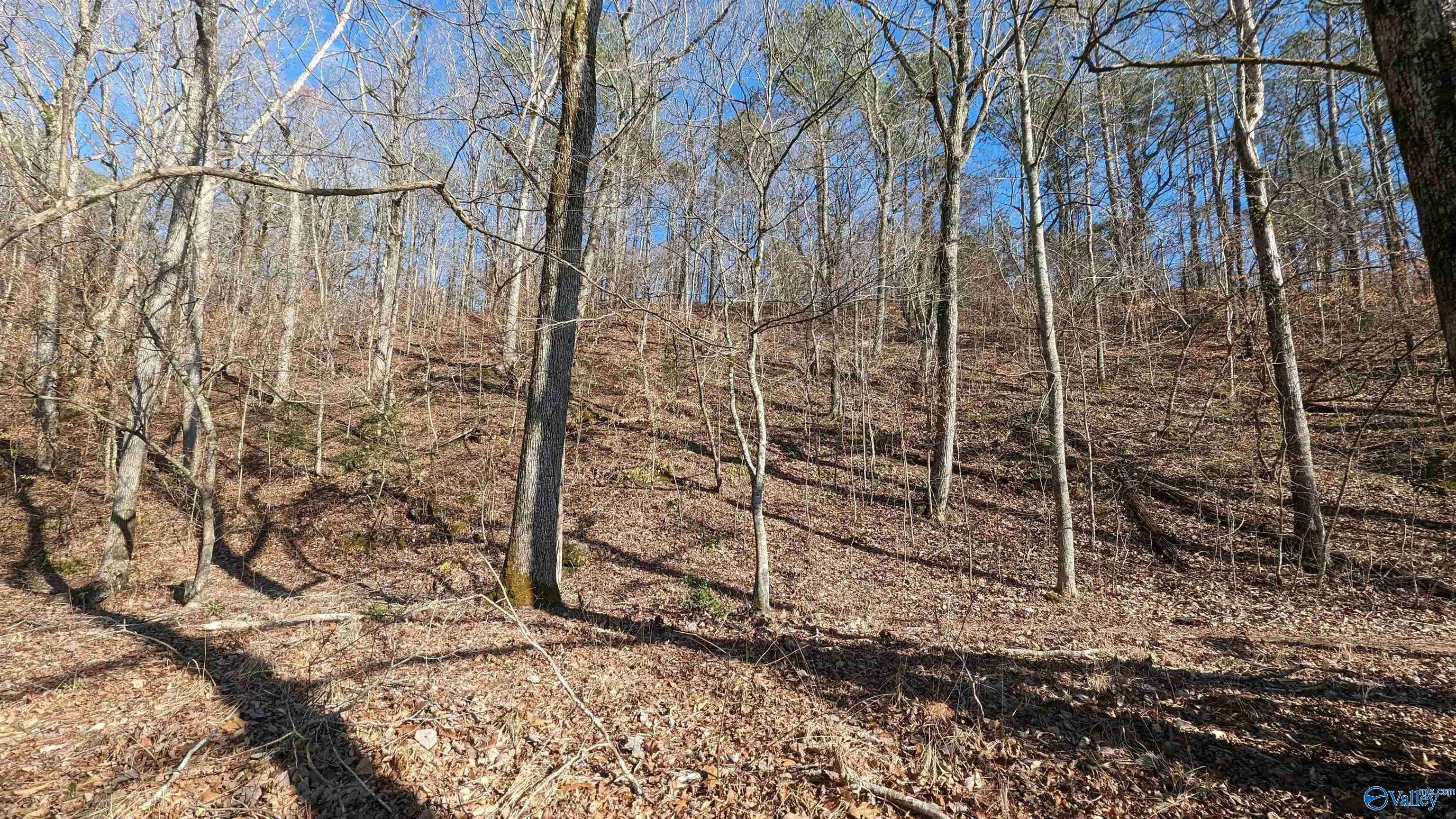 Cedar Bluff, AL 35959,Lot 11 County Road 137