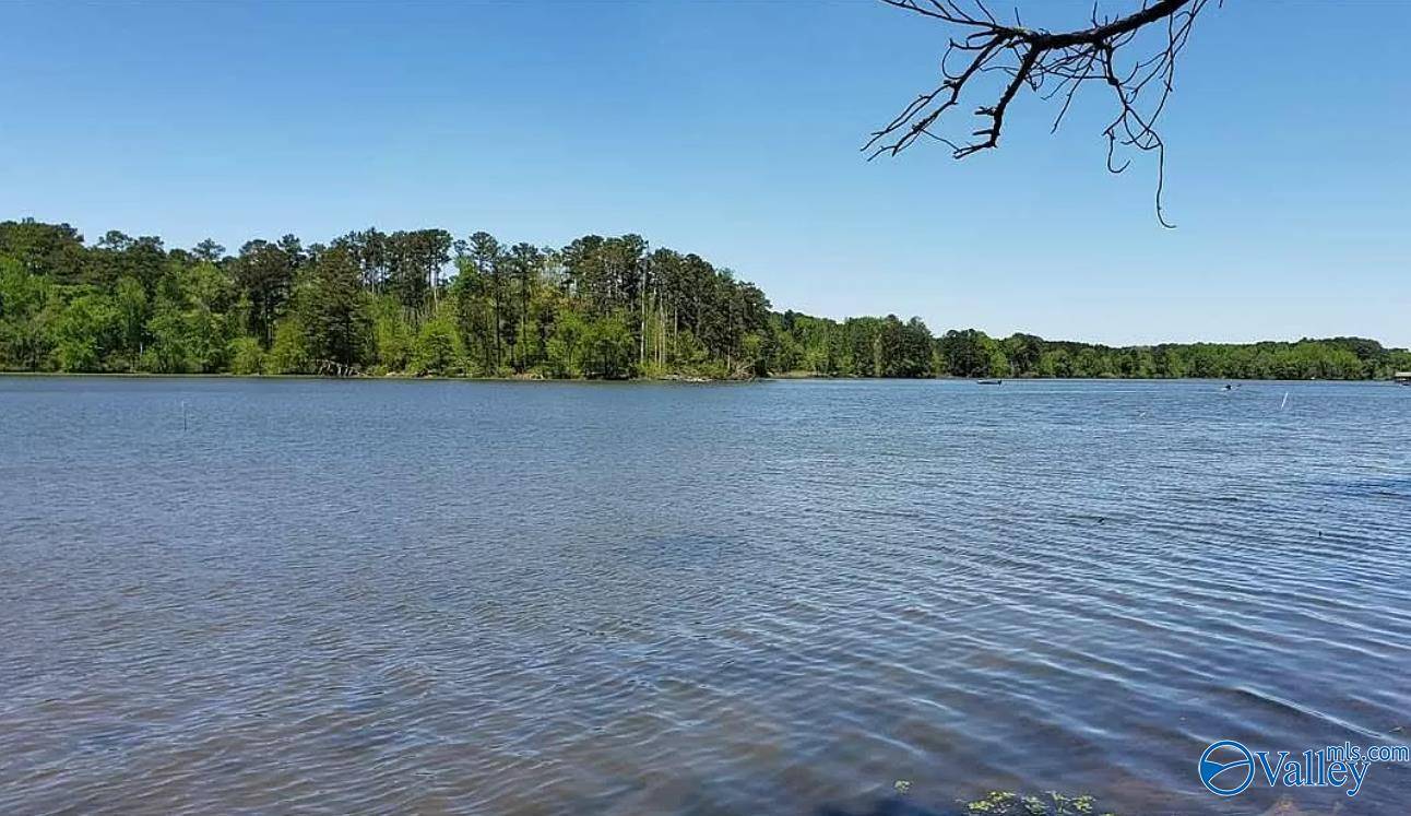 Scottsboro, AL 35769,Lot 2 Goose Pond Island Drive