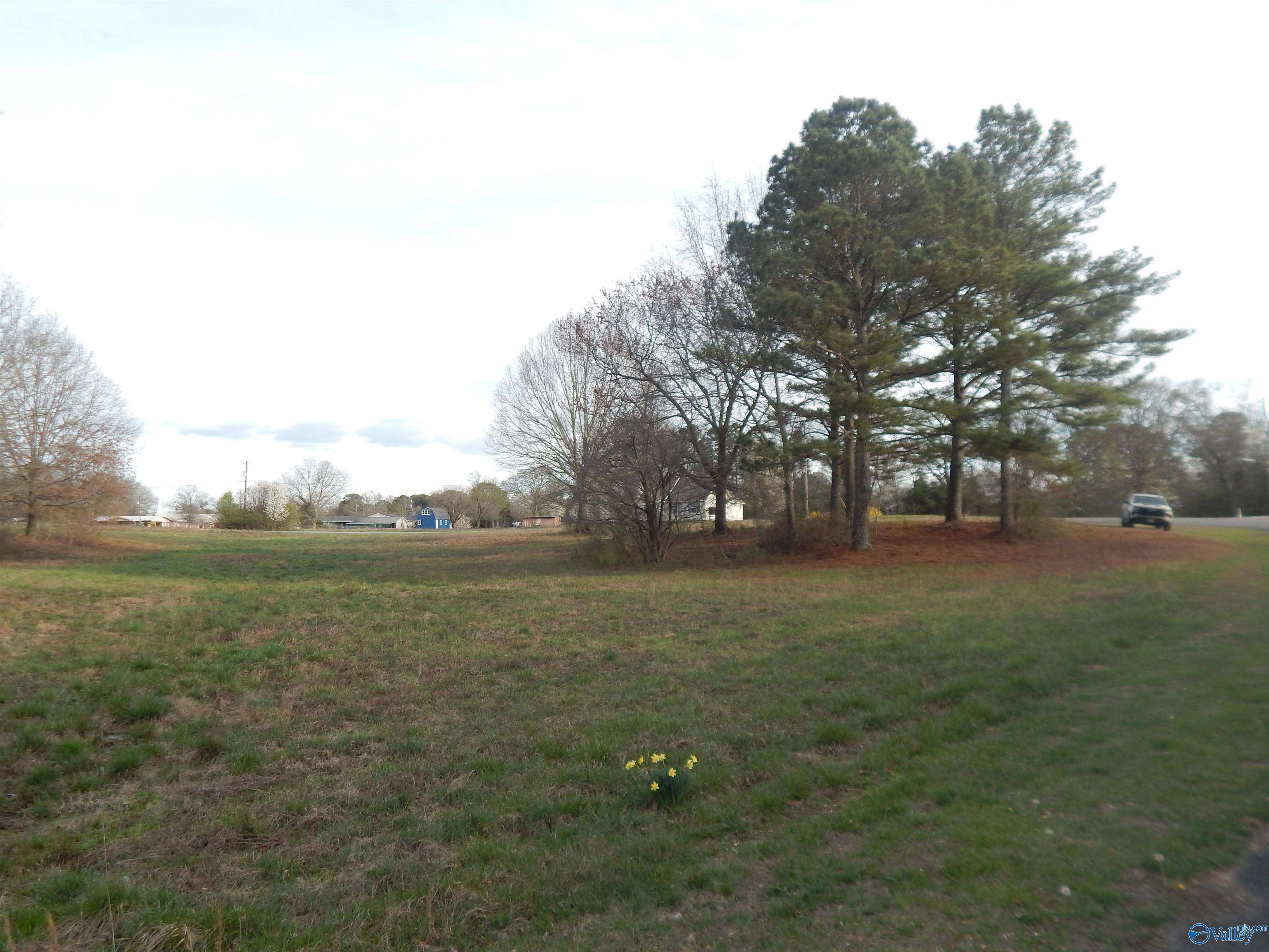 Crossville, AL 35962,4.6 acres Garden Gate Circle