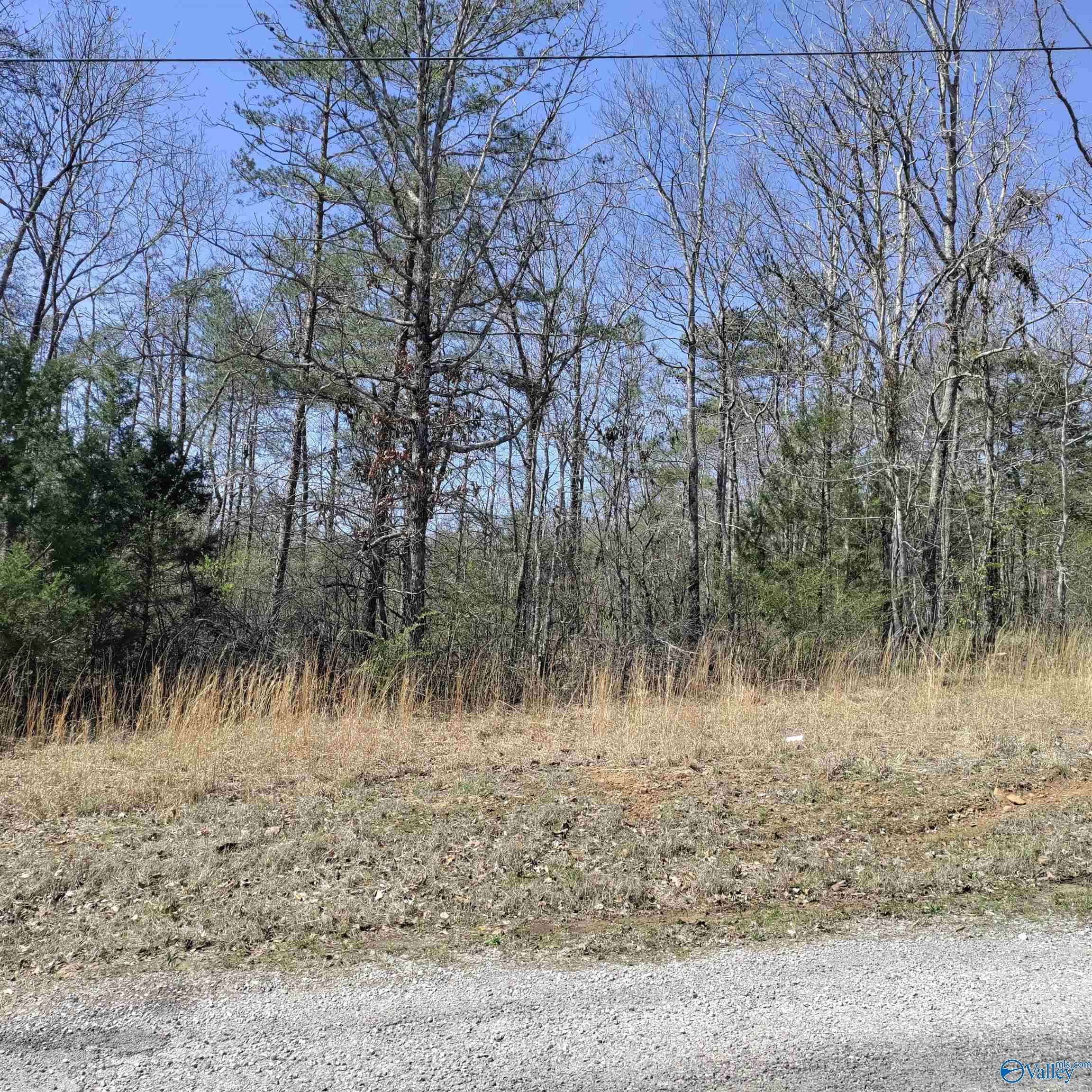 Falkville, AL 35622,5.86 Acres Cottonwood Lane