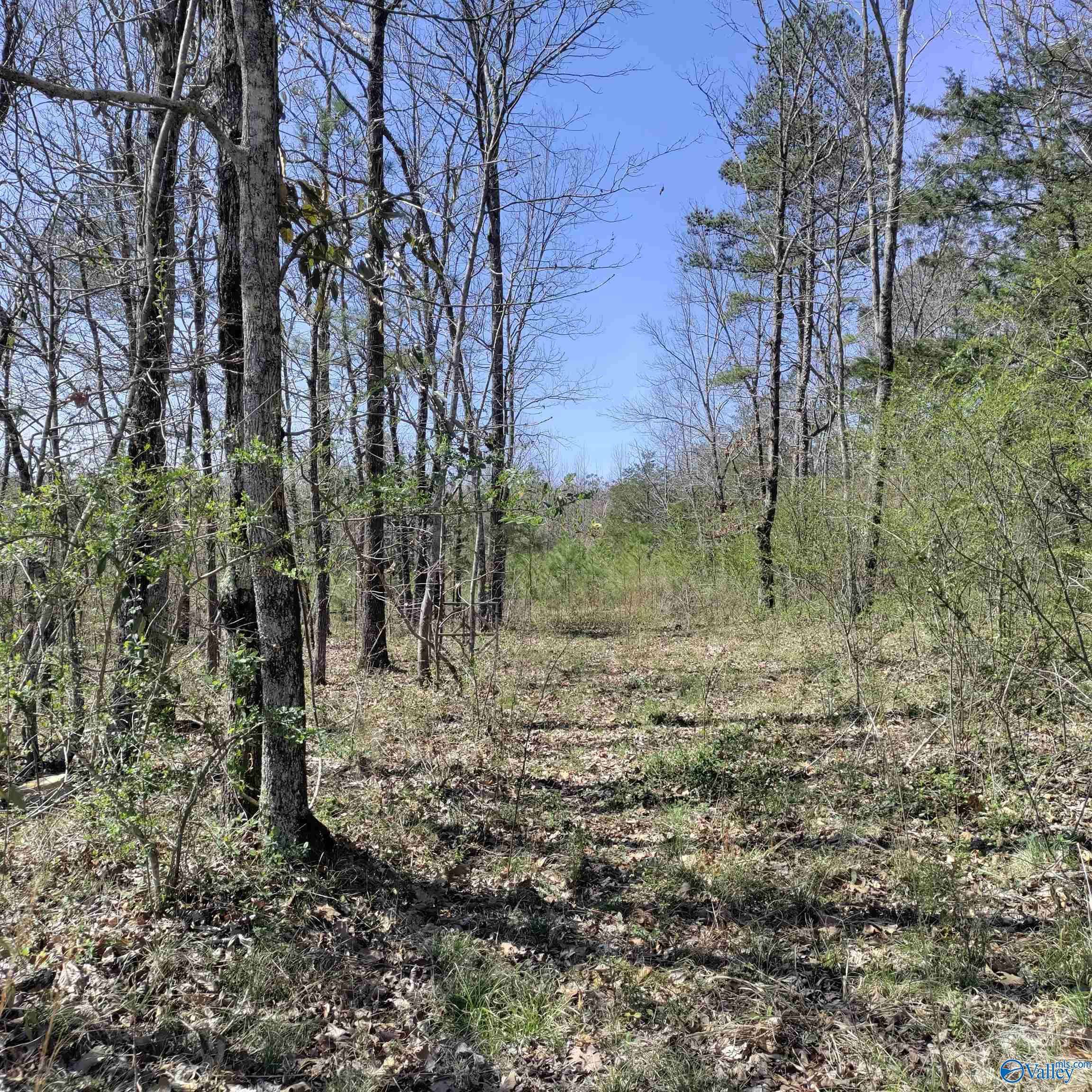 Falkville, AL 35622,5.86 Acres Cottonwood Lane