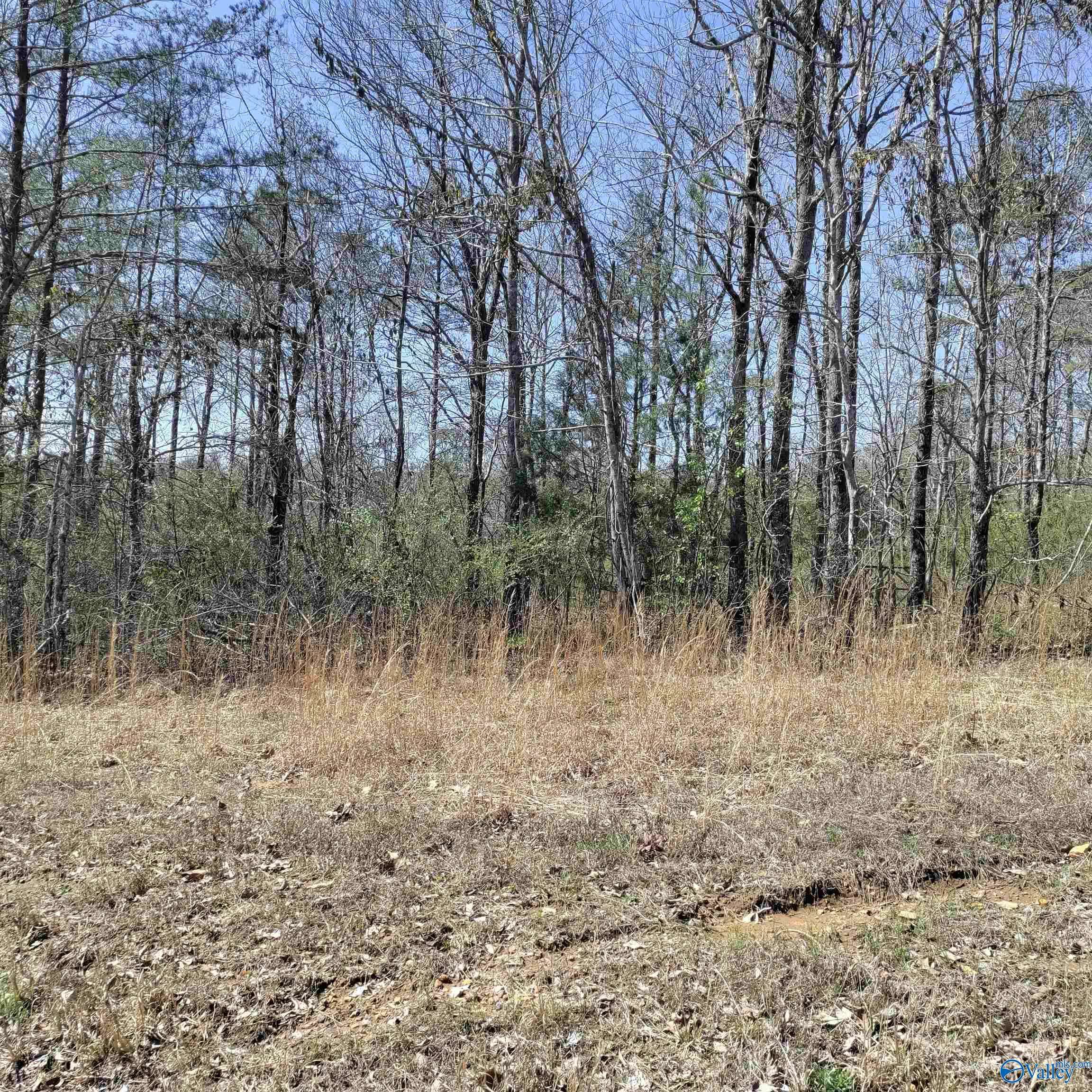 Falkville, AL 35622,5.86 Acres Cottonwood Lane