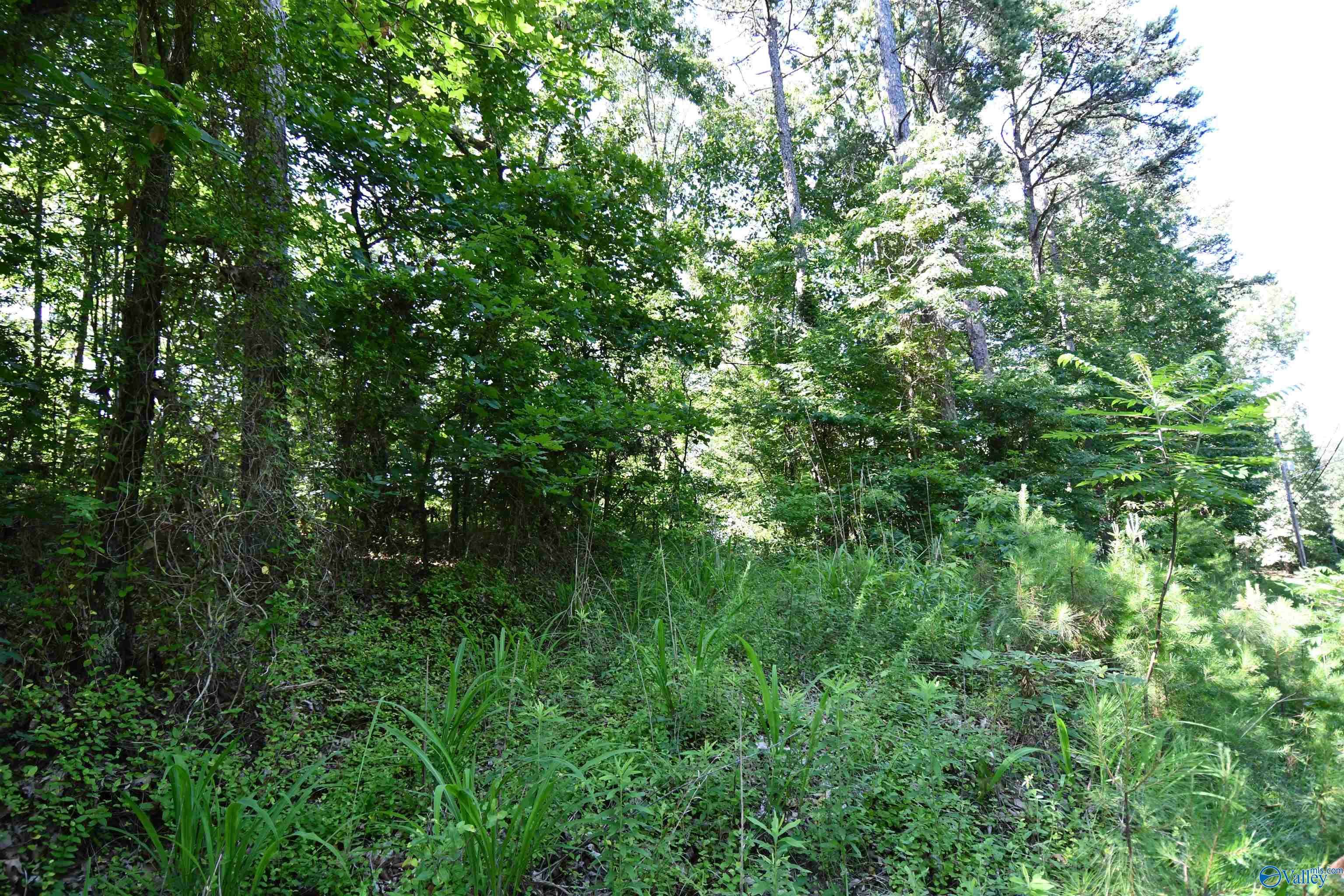 Gadsden, AL 35904,5.86 AC Scenic Highway